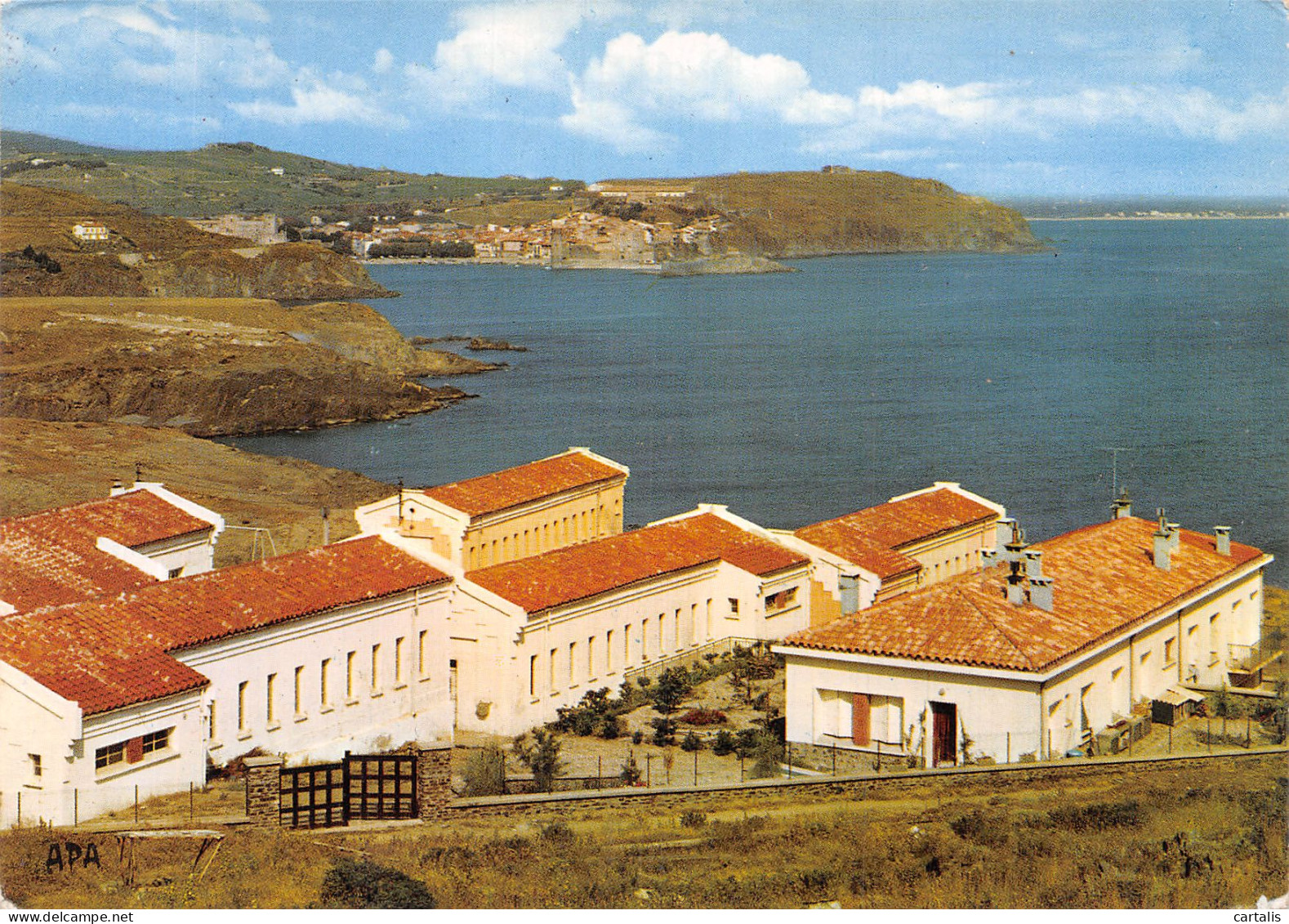 66-PORT VENDRES-N° 4419-B/0123 - Port Vendres