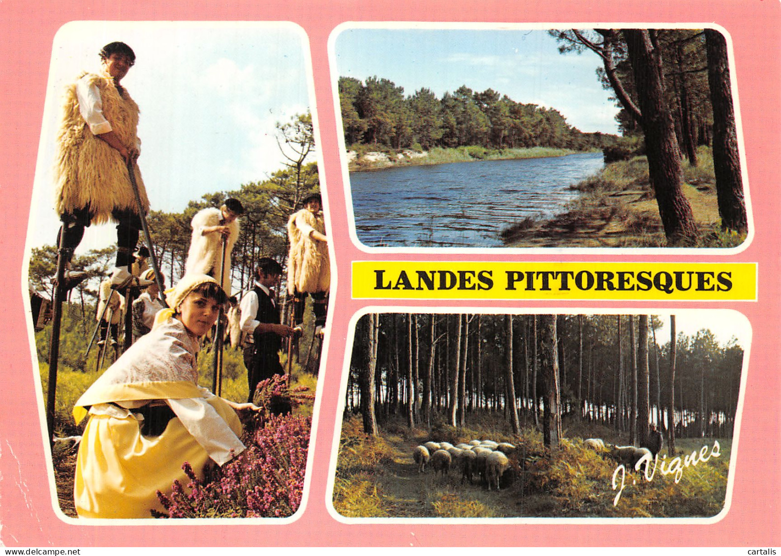 40-LES LANDES PITTORESQUES-N° 4419-A/0339 - Andere & Zonder Classificatie