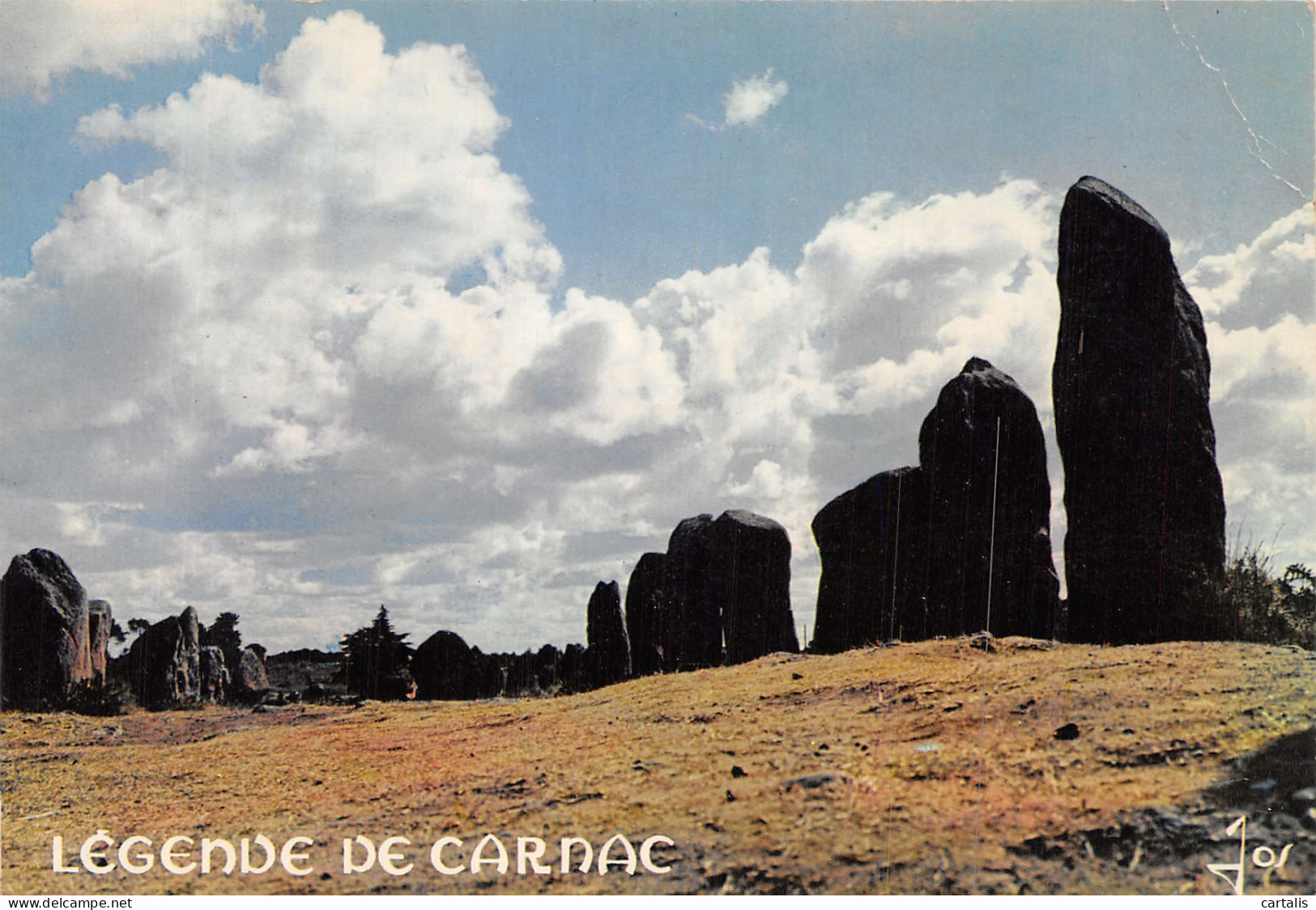 56-CARNAC-N° 4419-A/0251 - Carnac