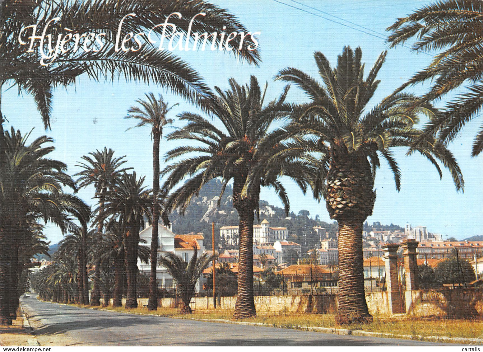 83-HYERES LES PALMIERS-N° 4419-A/0185 - Hyeres