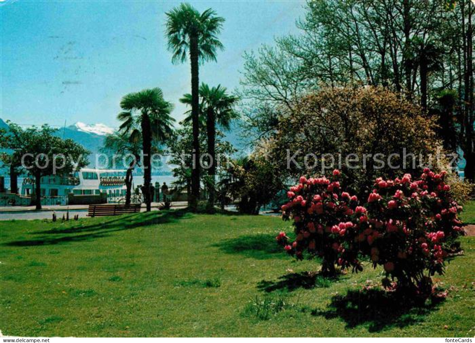 12861014 Locarno Lago Maggiore Park Locarno - Altri & Non Classificati