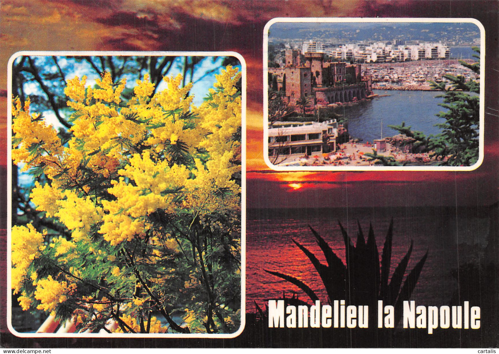 06-MANDELIEU LA NAPOULE-N° 4419-D/0293 - Autres & Non Classés