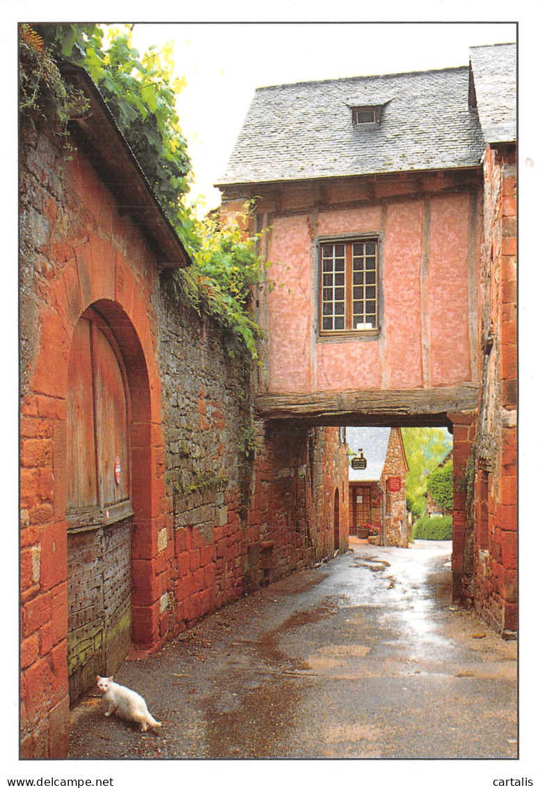 19-COLLONGES LA ROUGE-N° 4419-D/0085 - Sonstige & Ohne Zuordnung