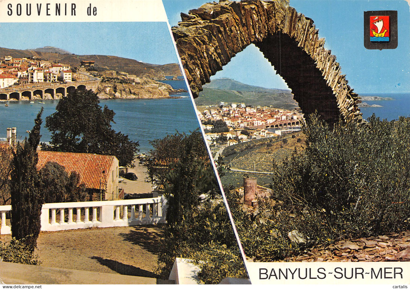 66-BANYULS SUR MER-N° 4419-C/0255 - Banyuls Sur Mer