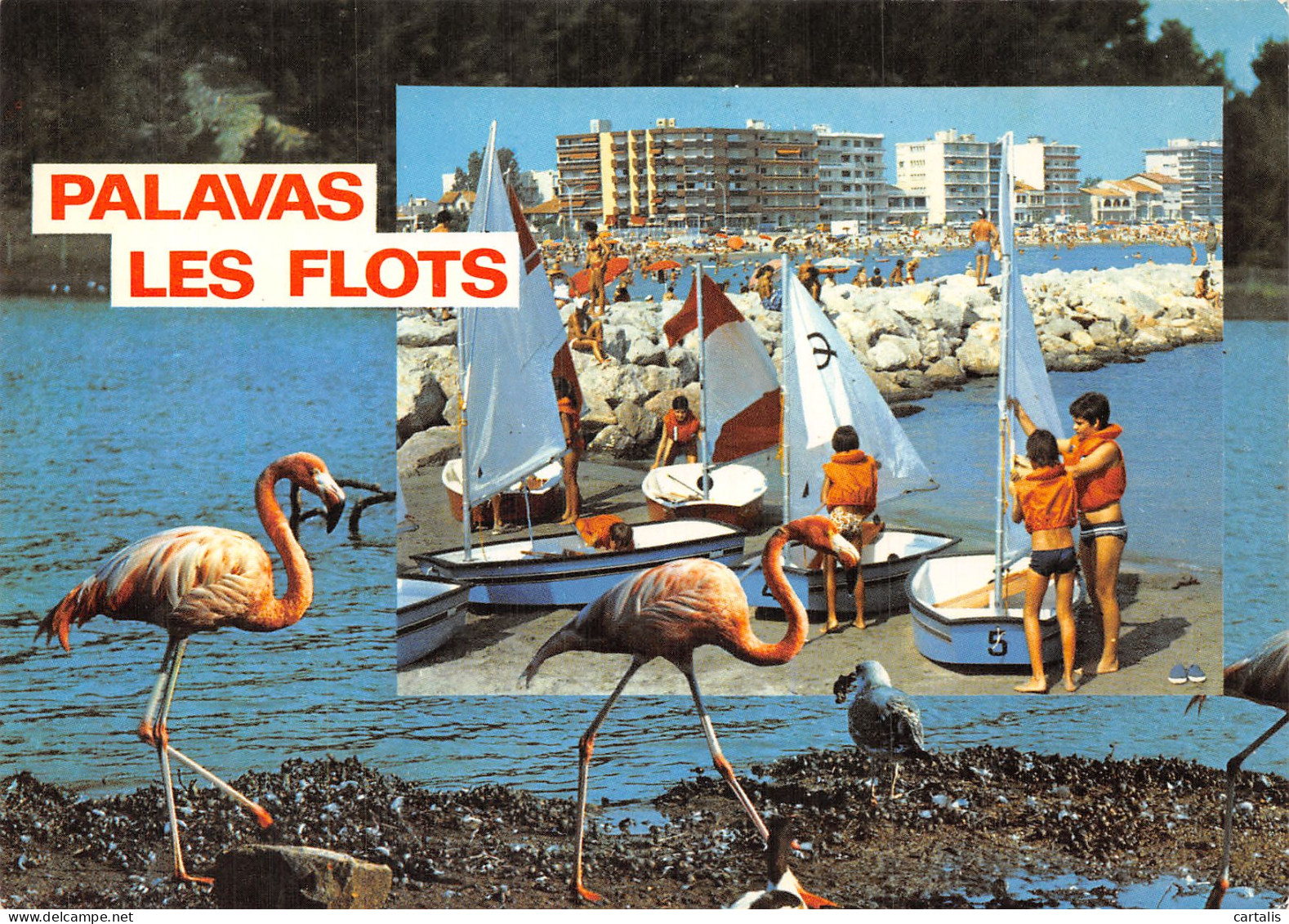 34-PALAVAS LES FLOTS-N° 4419-C/0249 - Palavas Les Flots