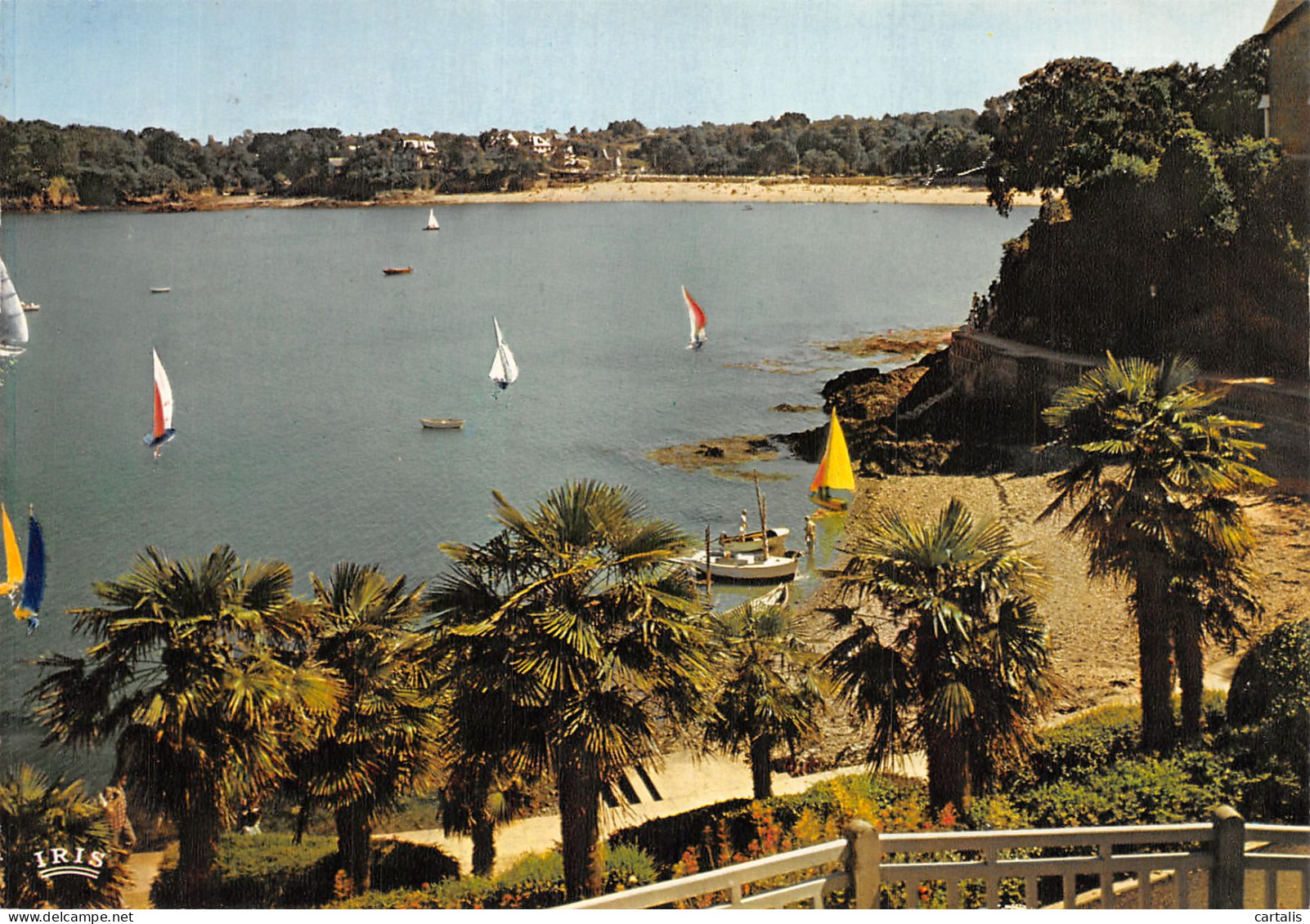 35-DINARD-N° 4420-C/0221 - Dinard