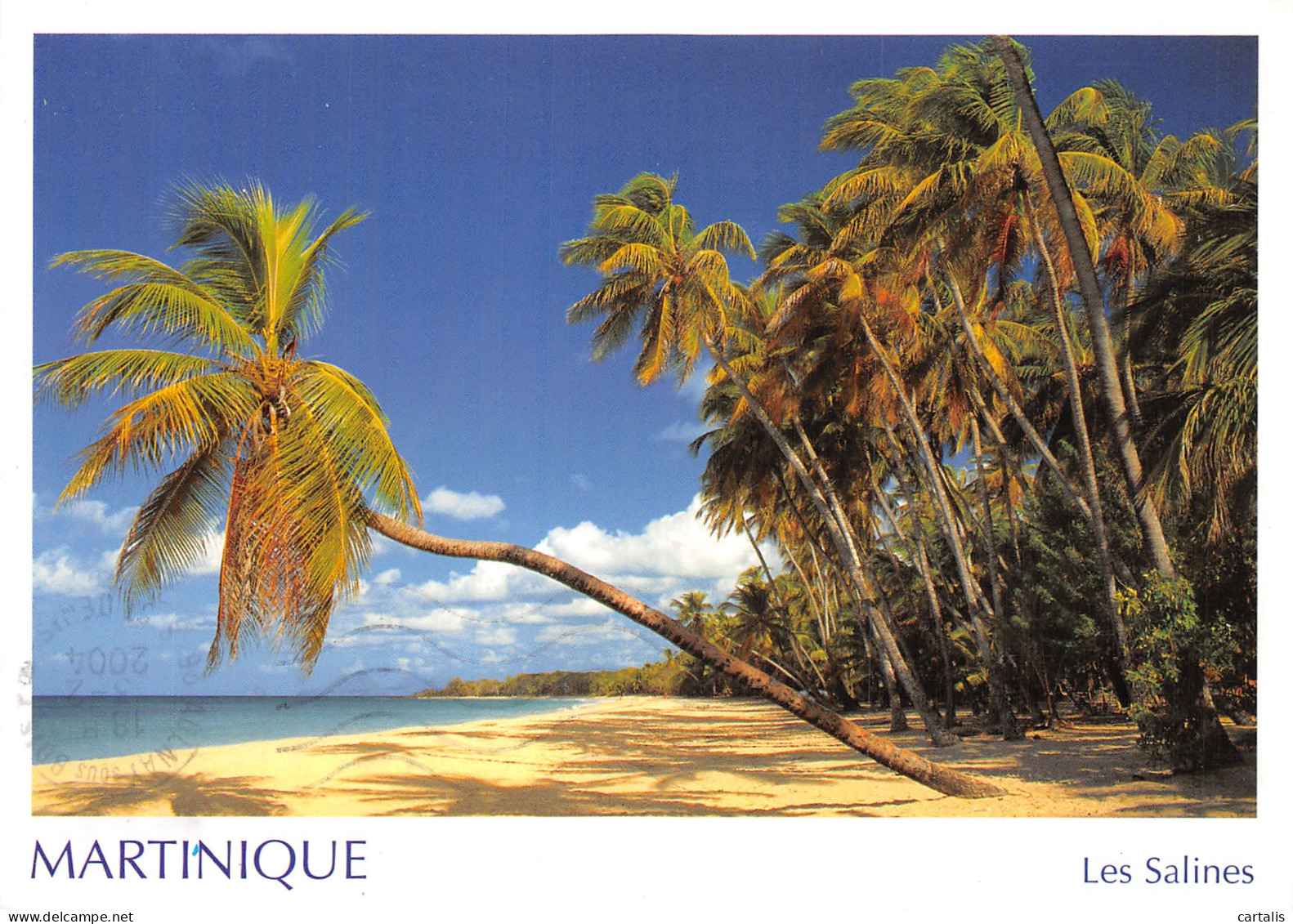 972-MARTINIQUE LES SALINES-N° 4420-C/0159 - Autres & Non Classés