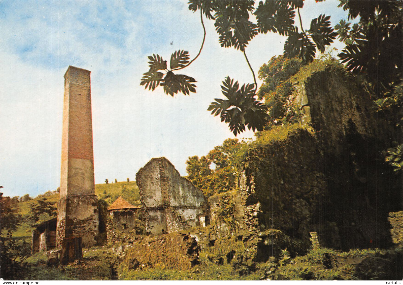 972-MARTINIQUE TROIS ILETS-N° 4420-C/0099 - Sonstige & Ohne Zuordnung