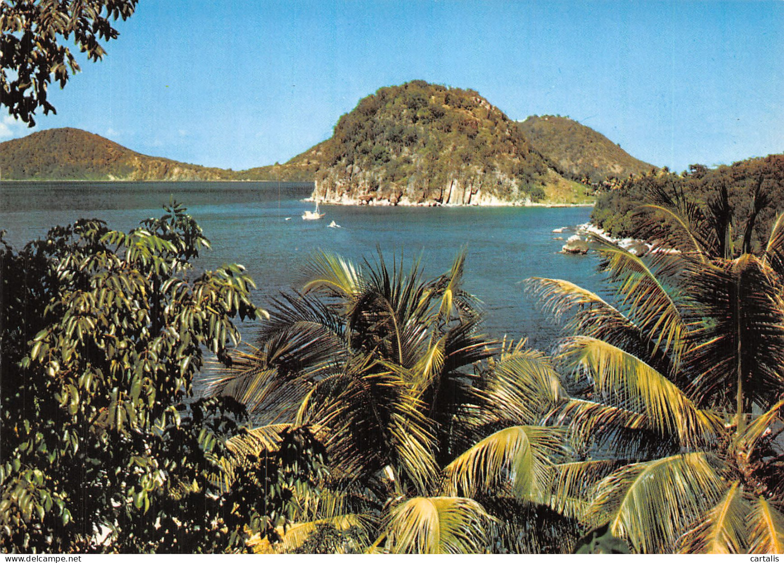 971-SAINT BARTHELEMY LES SAINTES-N° 4420-C/0093 - Other & Unclassified