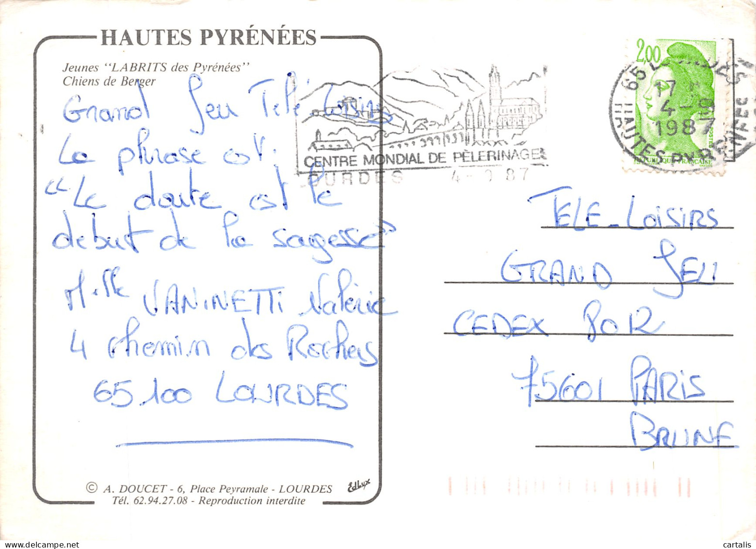 65-HAUTES PYRENEES CHIENS-N° 4420-B/0331 - Other & Unclassified