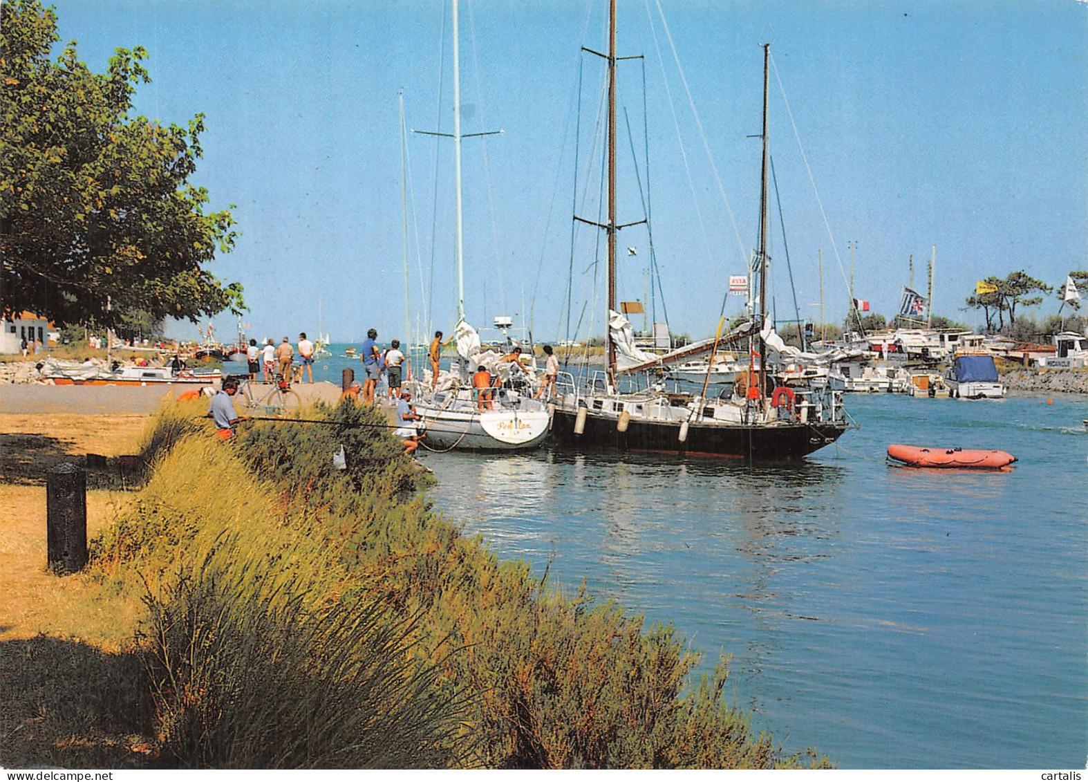 17-ILE D OLERON BOYARDVILLE-N° 4420-B/0257 - Ile D'Oléron