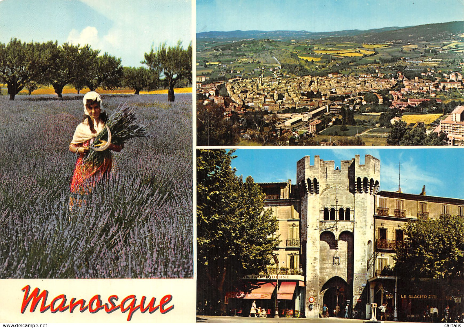 04-MANOSQUE-N° 4420-B/0231 - Manosque