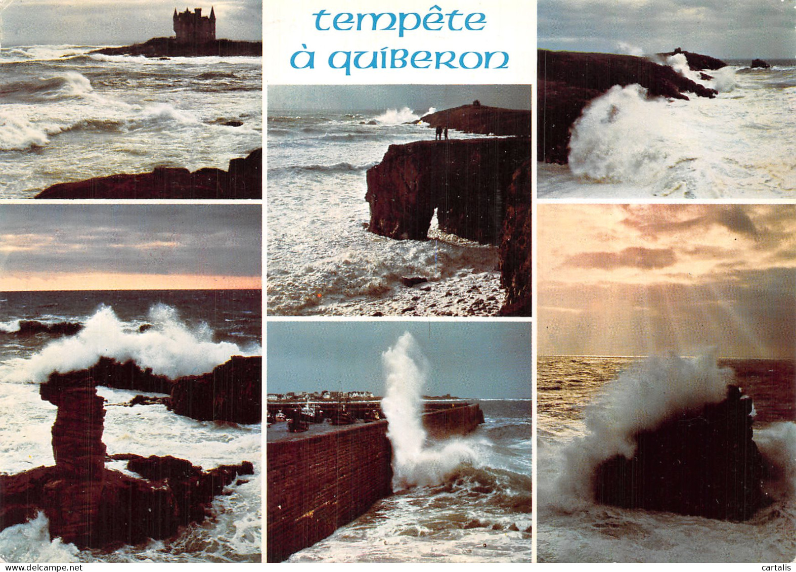 56-QUIBERON-N° 4420-B/0019 - Quiberon