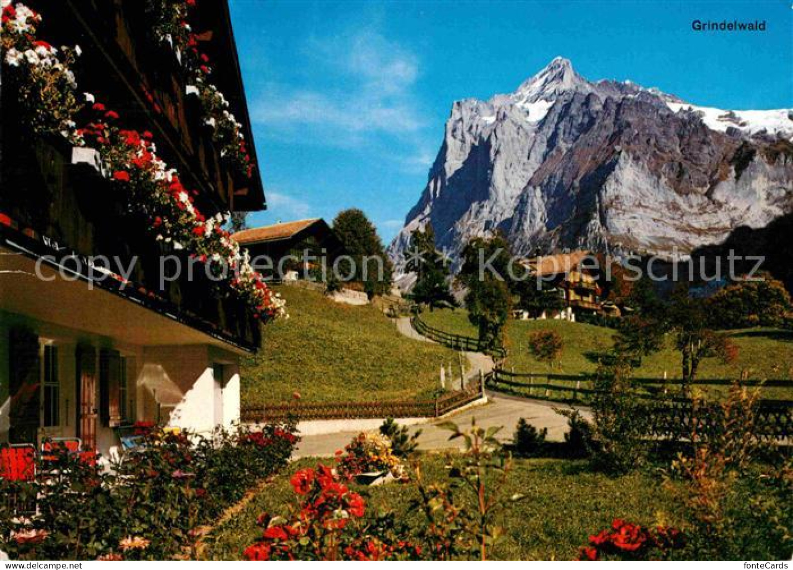 12859020 Grindelwald Wetterhorn Grindelwald - Altri & Non Classificati