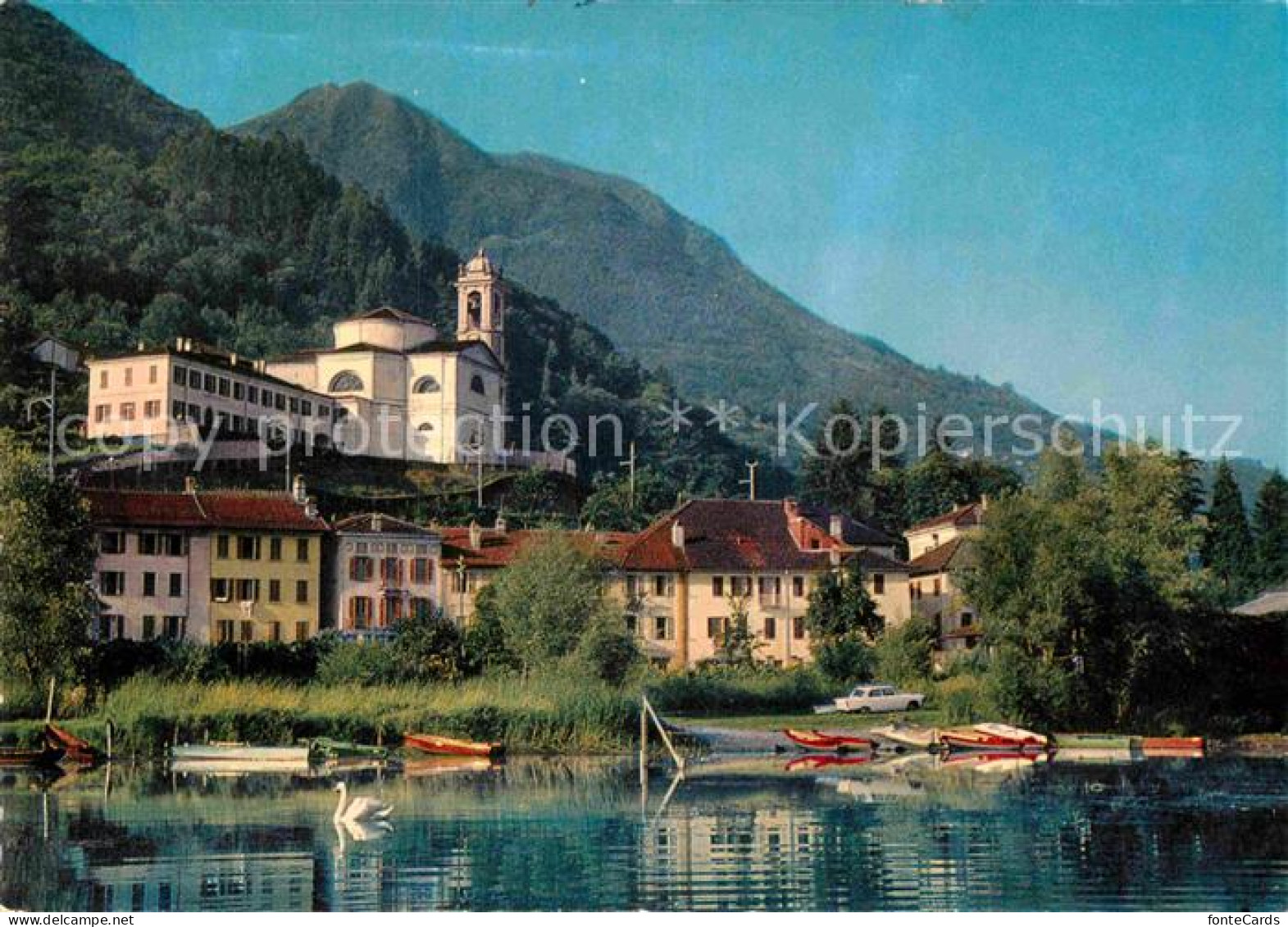 12858904 Magadino Ansicht Vom Lago Maggiore Aus Magadino - Altri & Non Classificati