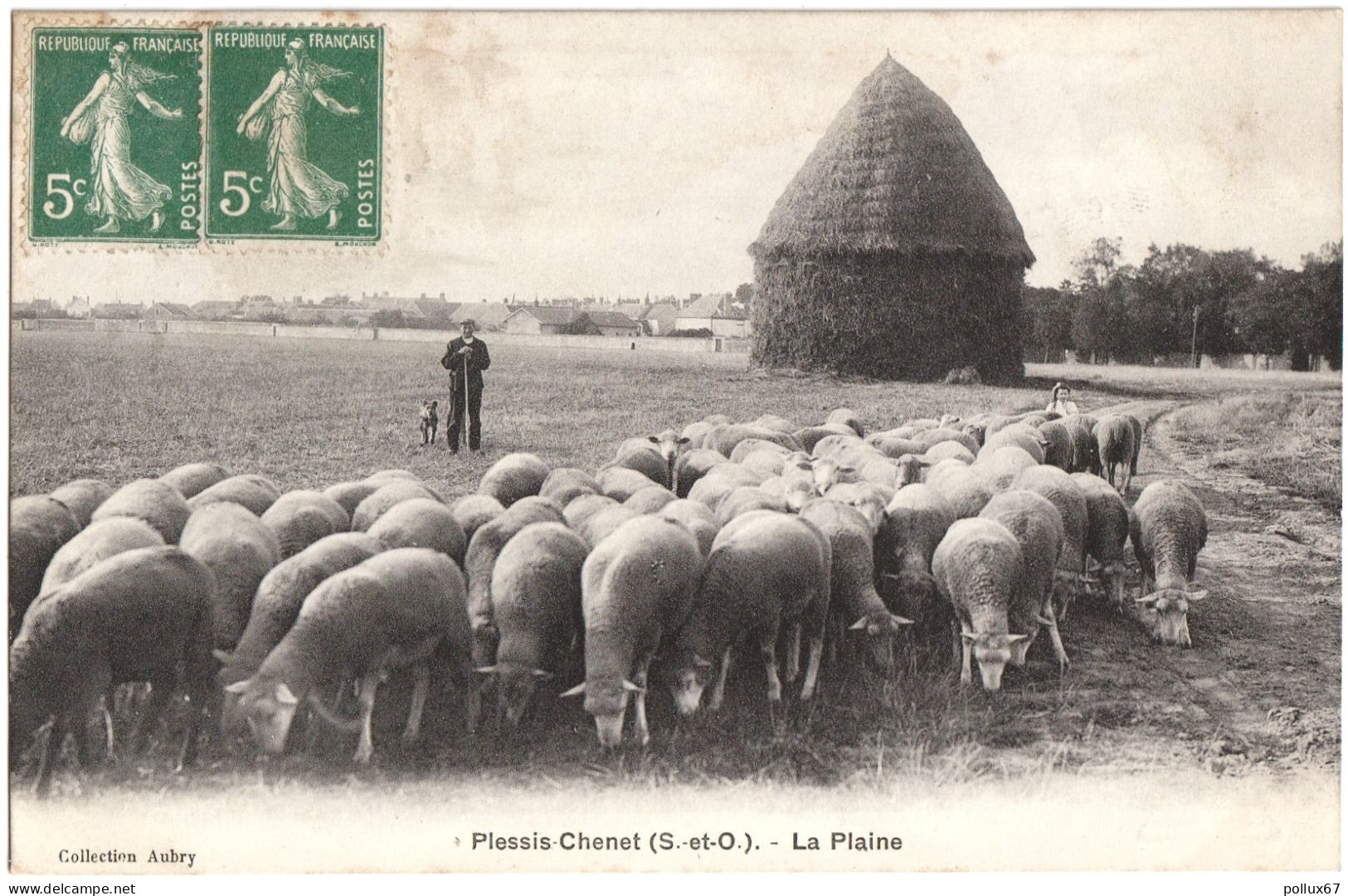 CPA LE PLESSIS-CHENET  (ESSONNE)  LA PLAINE - Sonstige & Ohne Zuordnung