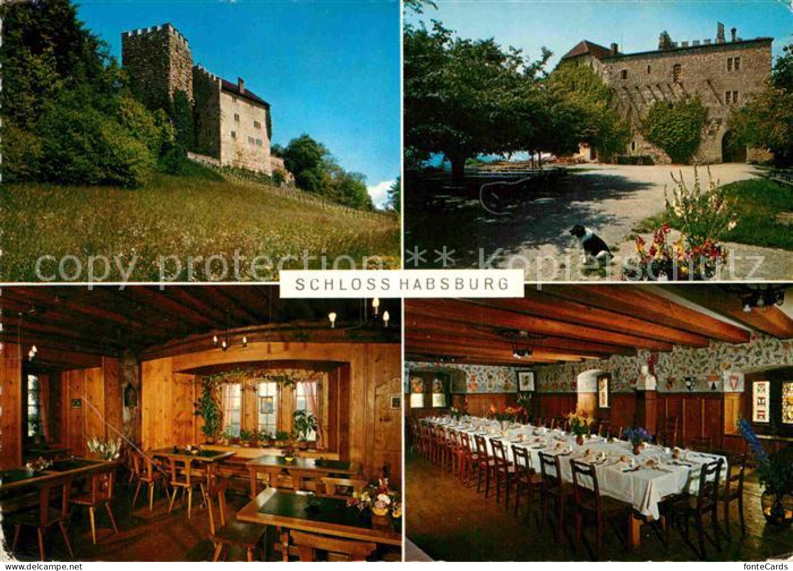 12839610 Brugg AG Schloss Habsburg Brugg - Other & Unclassified