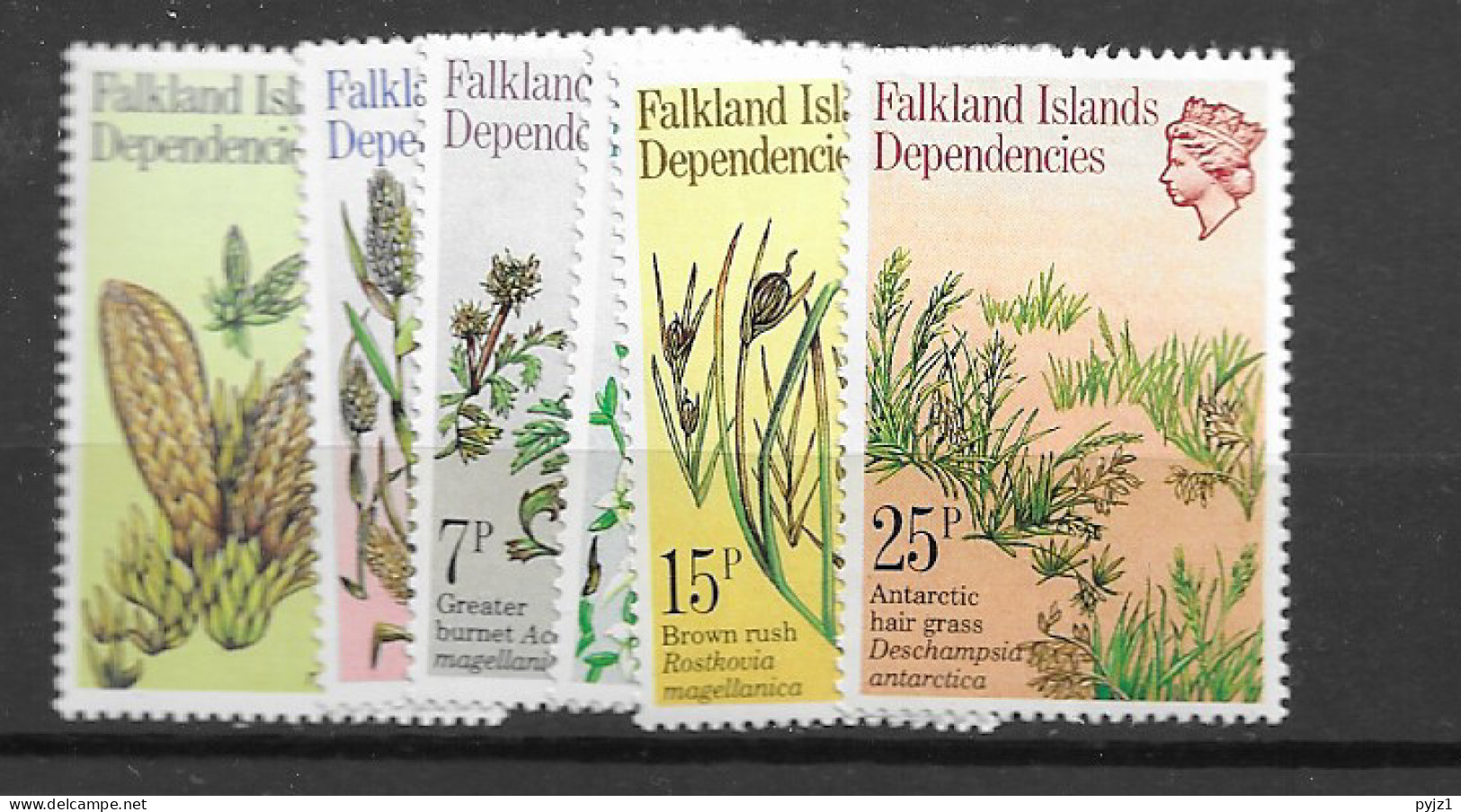 1981 MNH Falkland Islands Dependencies Mi 93-98 Postfris** - Falklandinseln