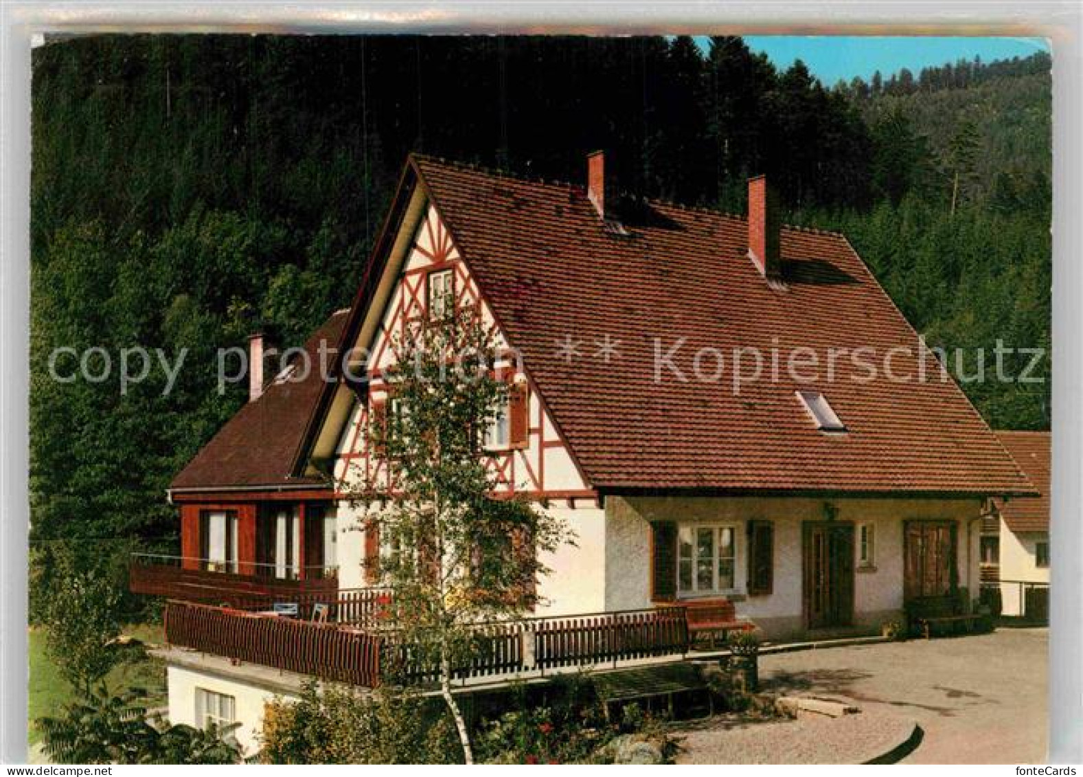 12835874 Kaltbrunn Pension Gebele Kaltbrunn - Sonstige & Ohne Zuordnung