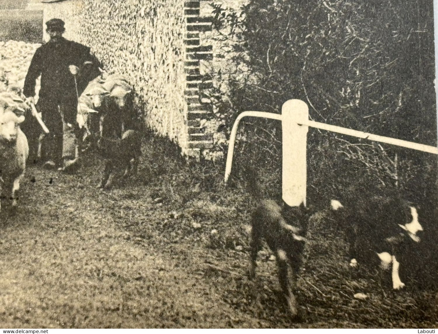 Carte Postale La Beauce Le Départ Aux Champs Voyagé - Chartres