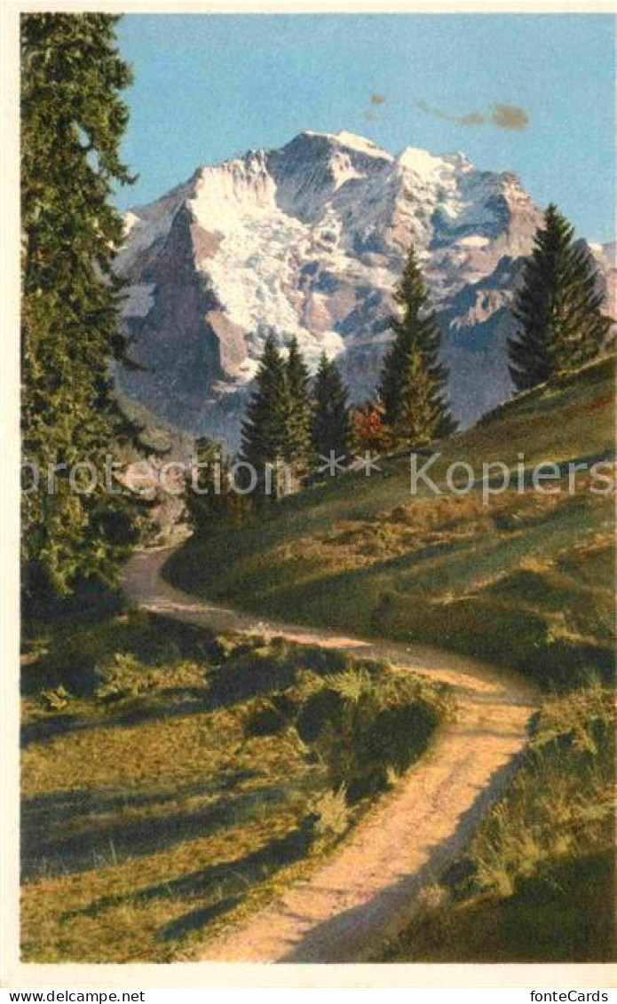 12826532 Lauterbrunnen BE Gruetschalp Jungfrau Lauterbrunnen - Autres & Non Classés