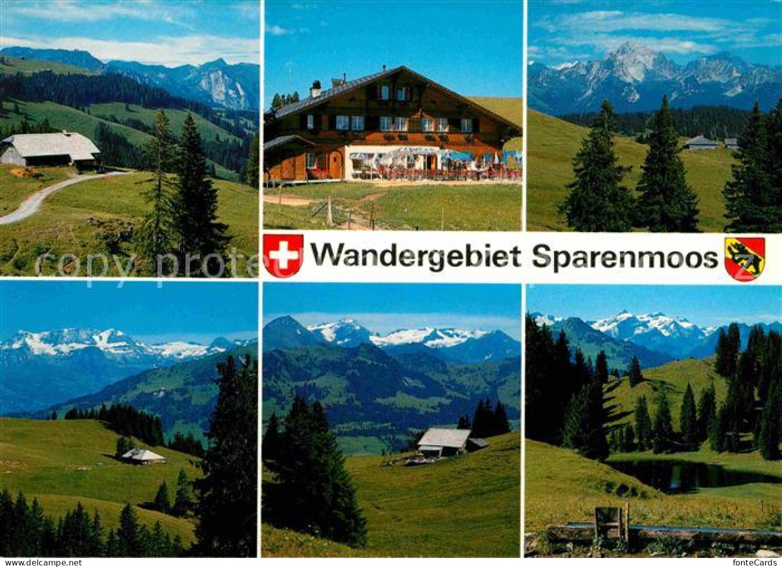 12826093 Zweisimmen Wandergebiet Sparenmoos Zweisimmen - Autres & Non Classés