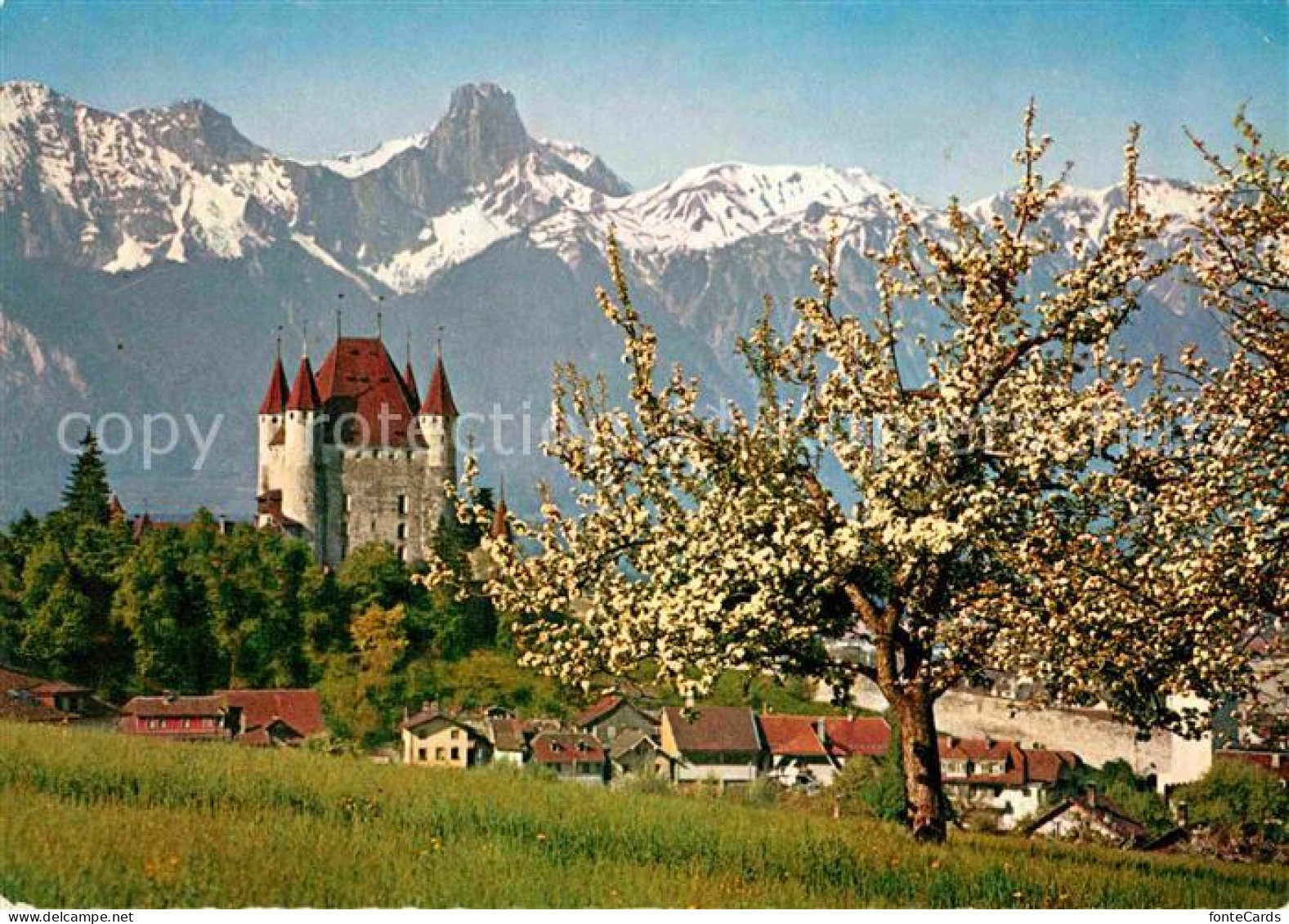 12826024 Thun BE Schloss Mit Stockhorn Thun - Autres & Non Classés