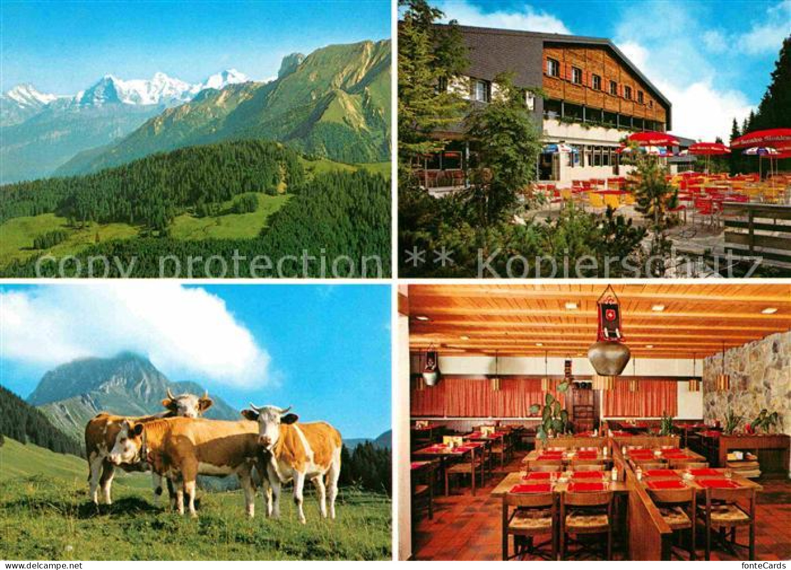 12815338 Rueti Riggisberg Restaurant Gurnigel Berghaus Eiger Moench Jungfrau Rue - Autres & Non Classés