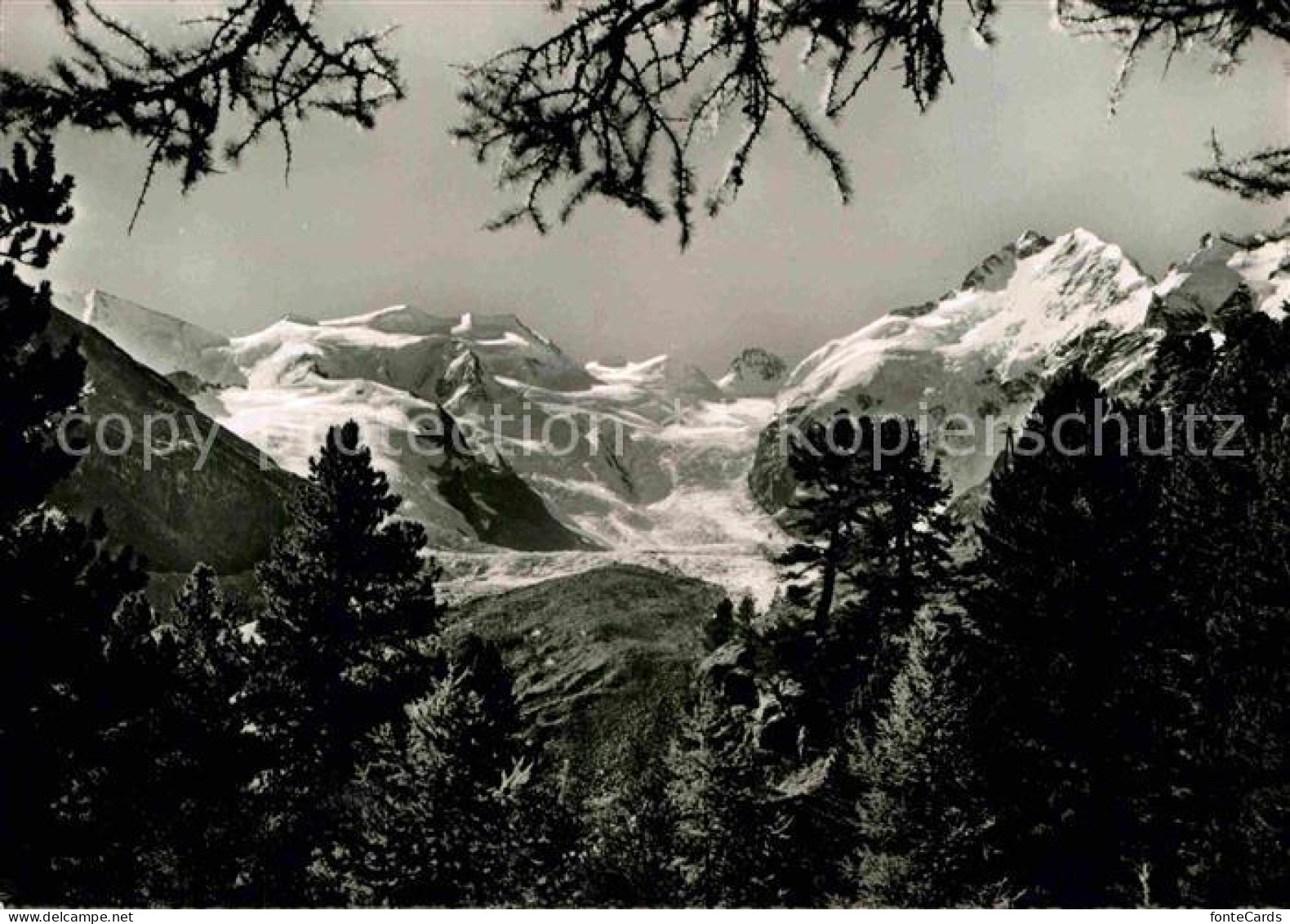 12812990 Morteratsch Blick Auf Bellavista Morteratsch - Otros & Sin Clasificación