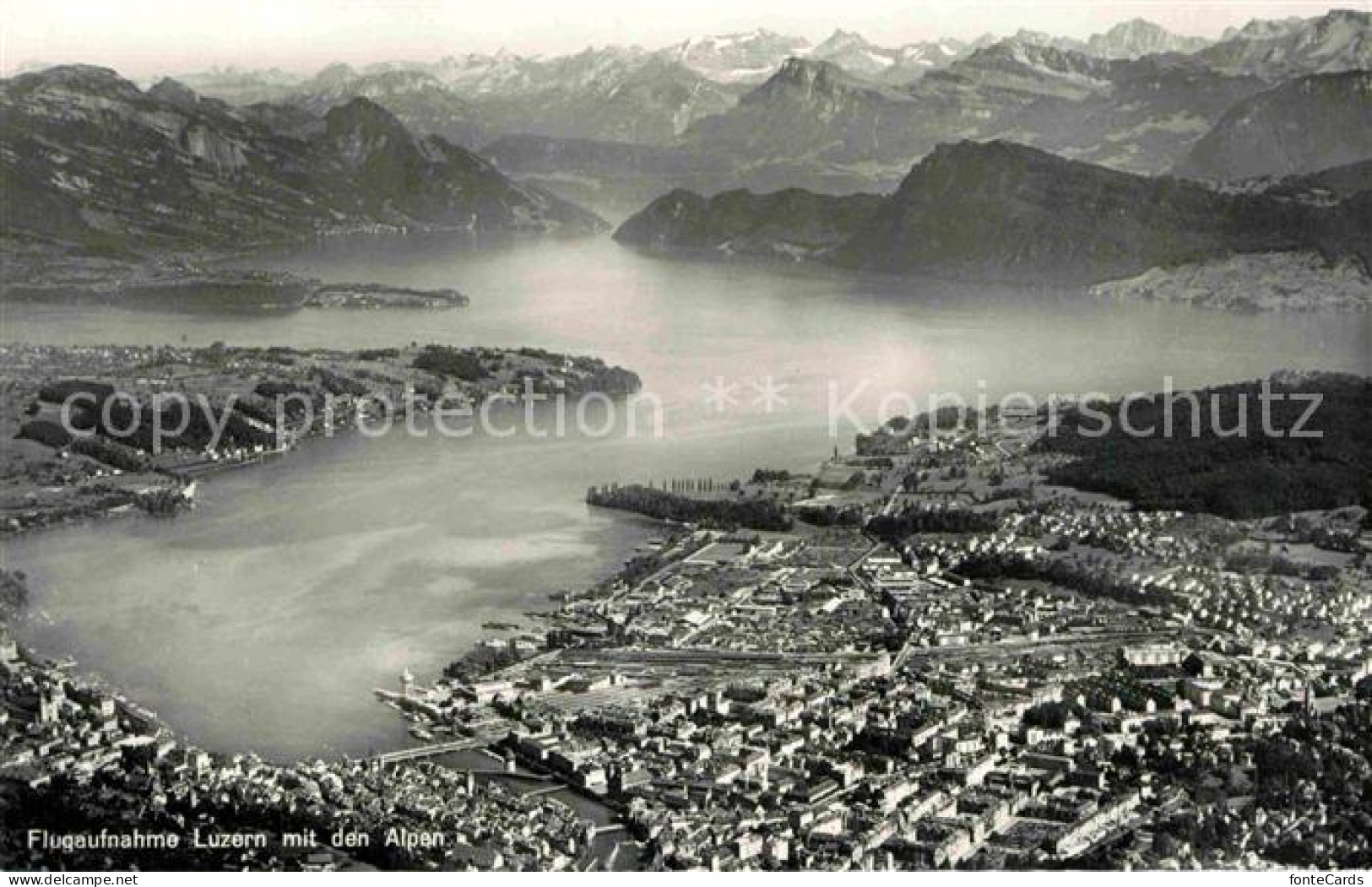 12808912 Luzern Vierwaldstaettersee Mit Den Alpen Fliegeraufnahme Luzern - Sonstige & Ohne Zuordnung