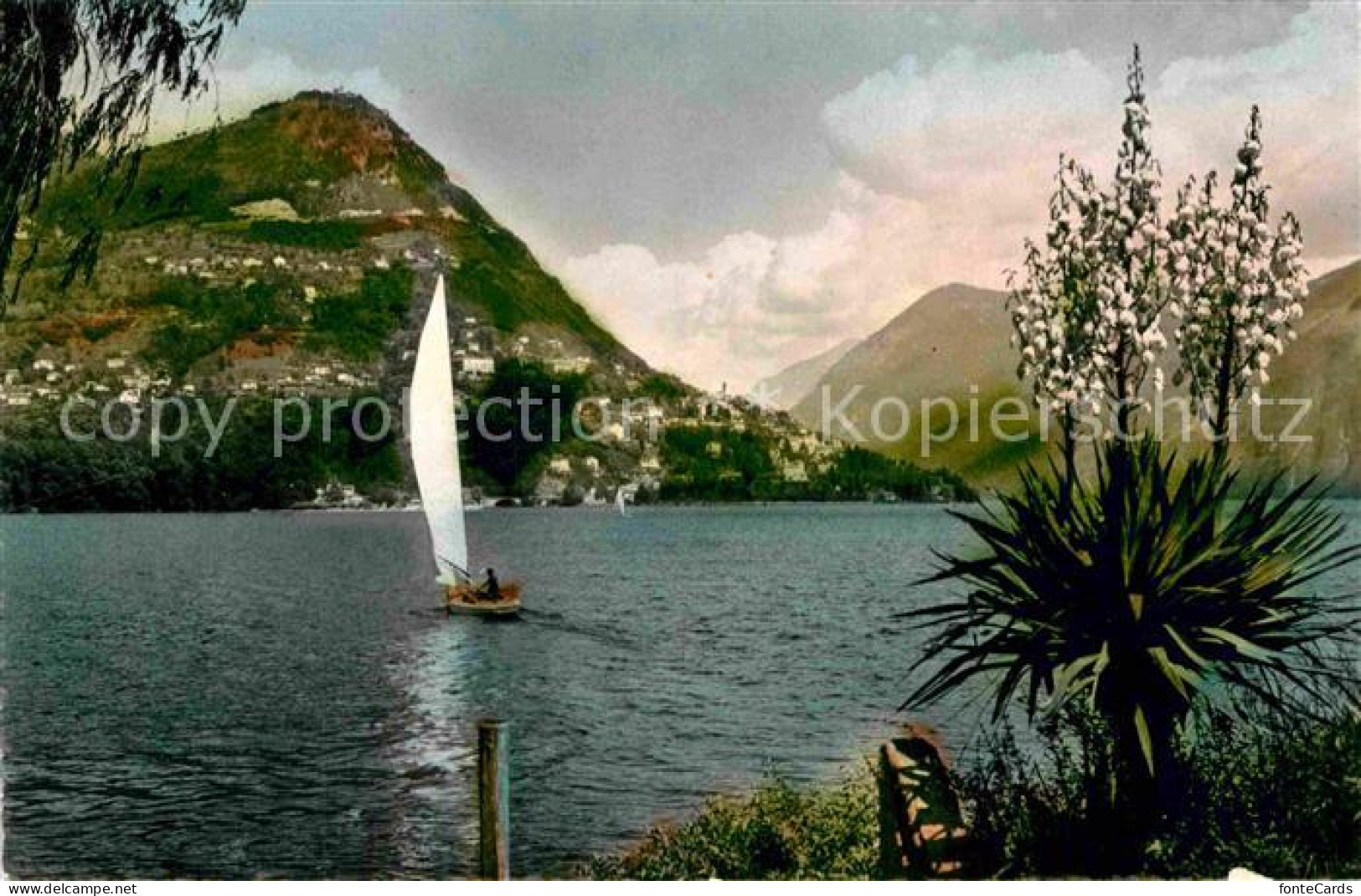 12807604 Lugano Lago Di Lugano Luganersee Mit Monte Bre Segelboot Lugano Lago Di - Other & Unclassified