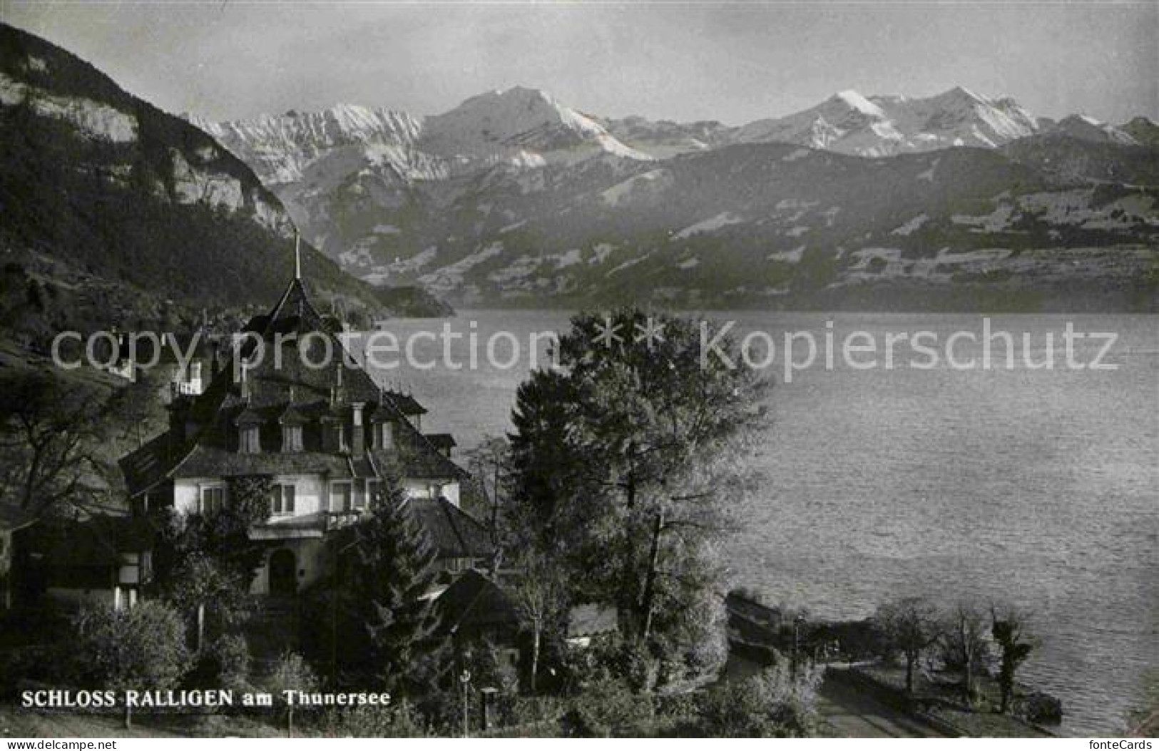 12791341 Thunersee Schloss Rallingen Thun - Other & Unclassified