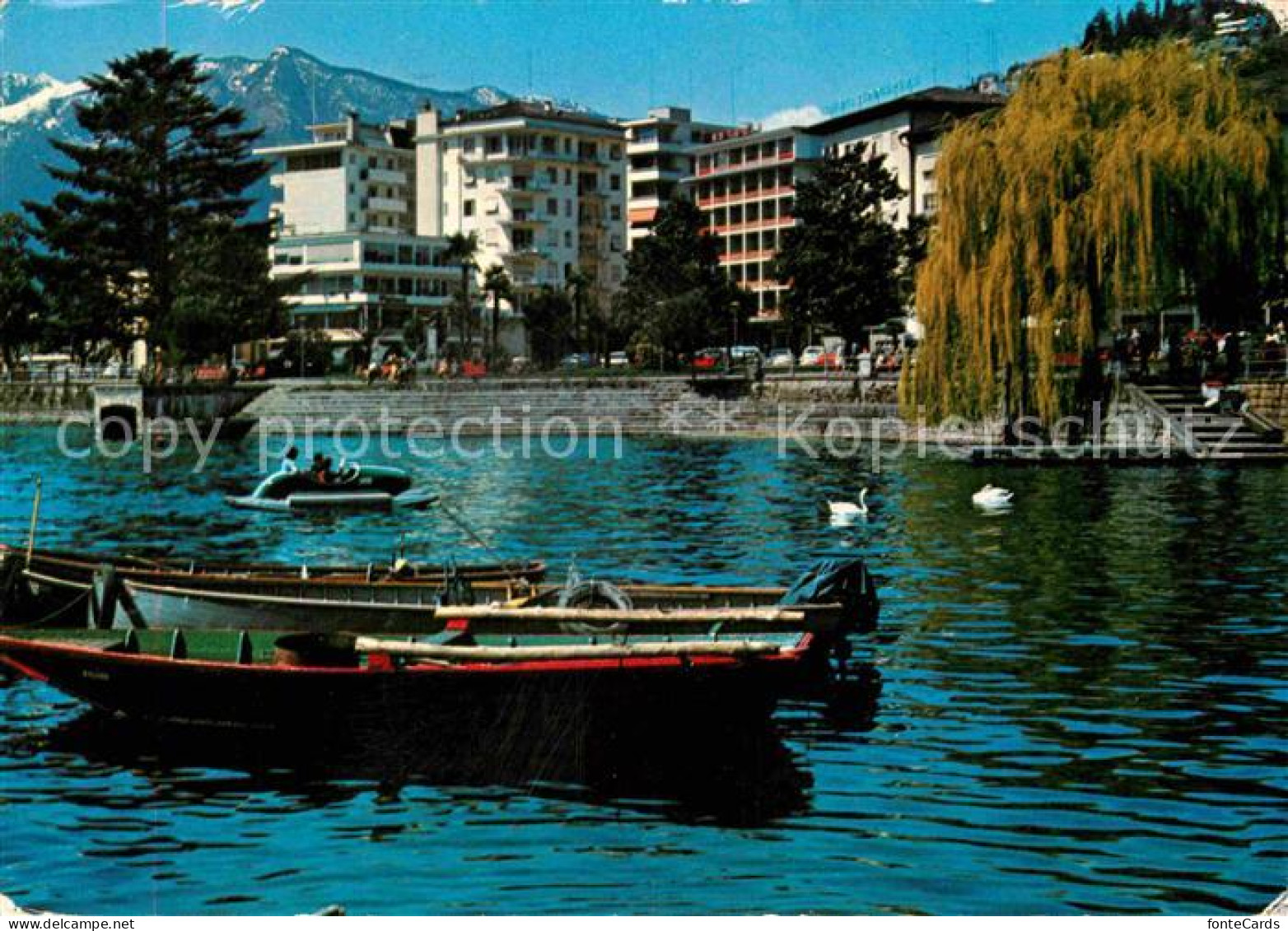 12790921 Muralto Lago Maggiore Ansicht Vom See Aus Boot Muralto Lago Maggiore - Andere & Zonder Classificatie