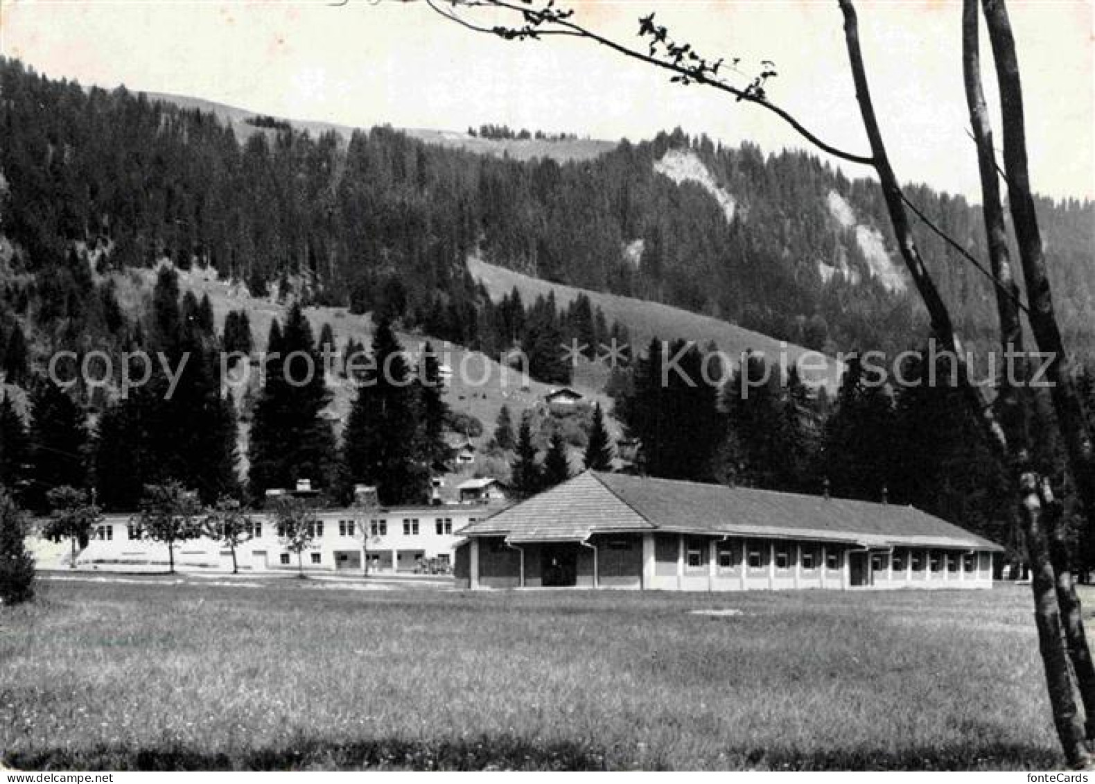 12788950 Lac Noir Schwarzsee FR Teilansicht Fribourg FR - Altri & Non Classificati