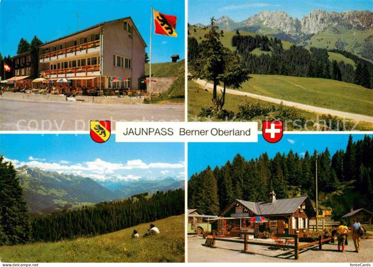 12787562 Jaunpass Hotel Des Alpes Gastlosen Simmental Sportbazar Alpenpanorama J - Autres & Non Classés