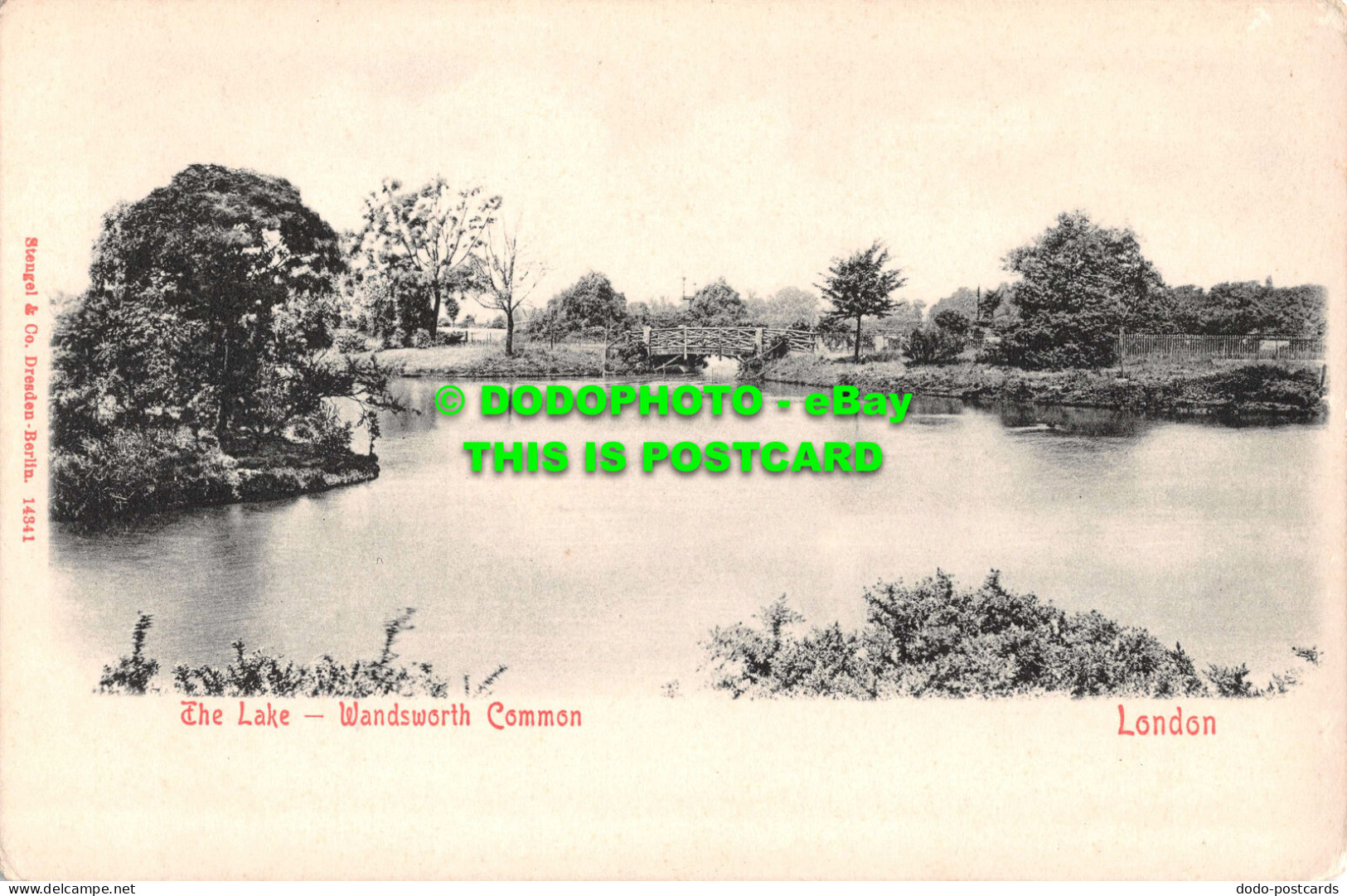 R532372 London. The Lake. Wandsworth Common. Stengel - Other & Unclassified