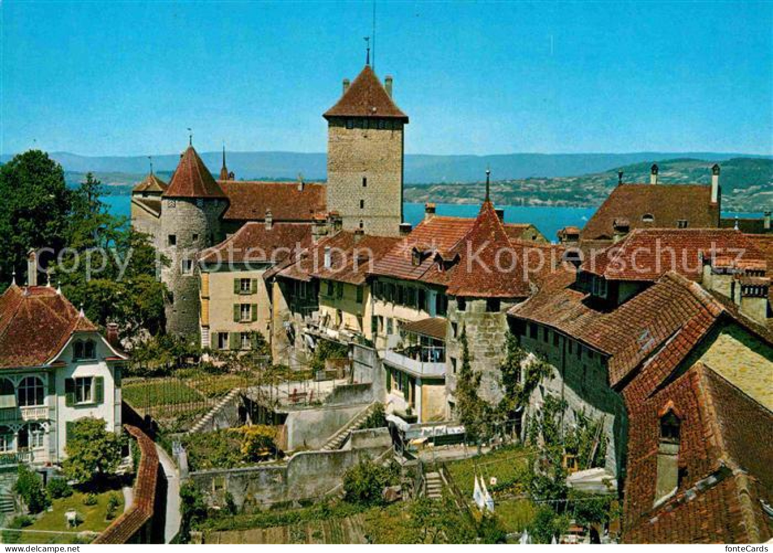 12786604 Murten Morat Altstadt Und See Murten - Sonstige & Ohne Zuordnung