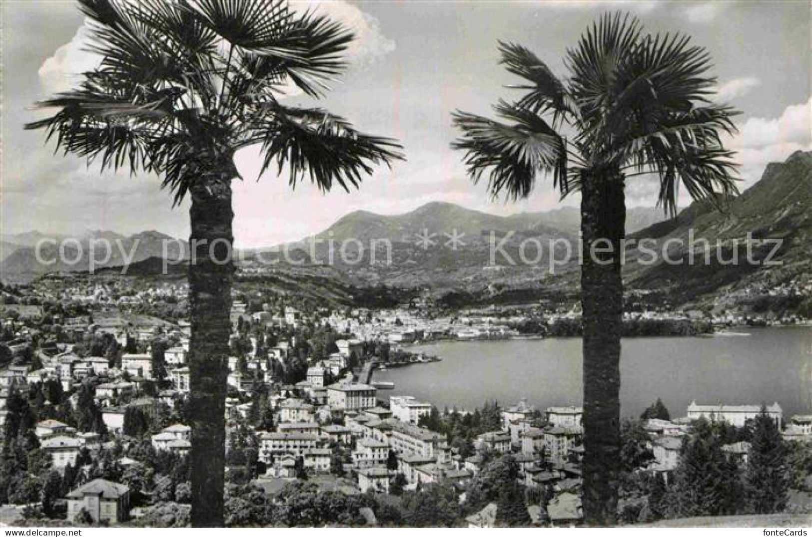 12786213 Lugano Lago Di Lugano Panorama Palmen Luganer See Alpen Lugano Lago Di  - Otros & Sin Clasificación