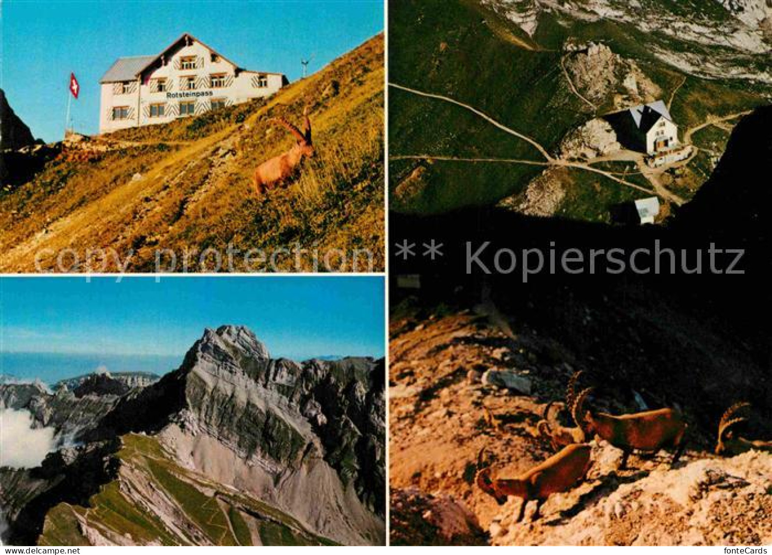 12778754 Weissbad Berggasthaus Rotsteinpass Gebirgspanorama Appenzeller Alpen St - Altri & Non Classificati