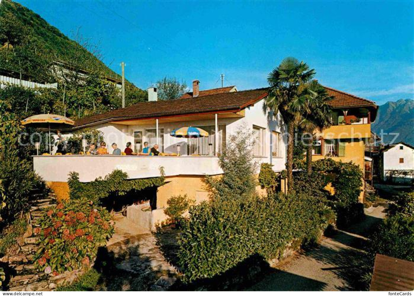 12775550 Gudo Albergo Pensione Brack Gudo - Andere & Zonder Classificatie