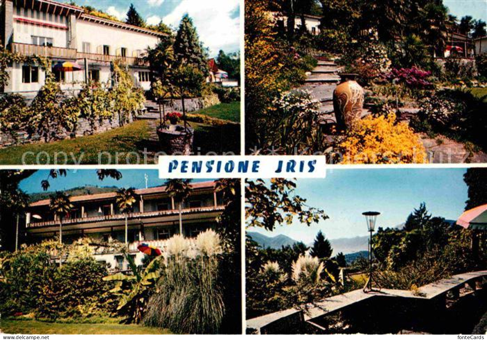 12774912 Locarno Lago Maggiore Pensione Iris Park Terrasse Locarno - Otros & Sin Clasificación