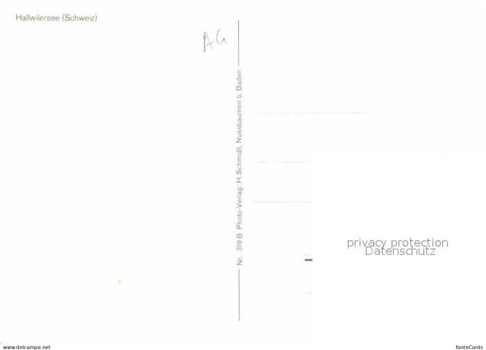 12773820 Hallwilersee Fliegeraufnahme Hallwil - Otros & Sin Clasificación