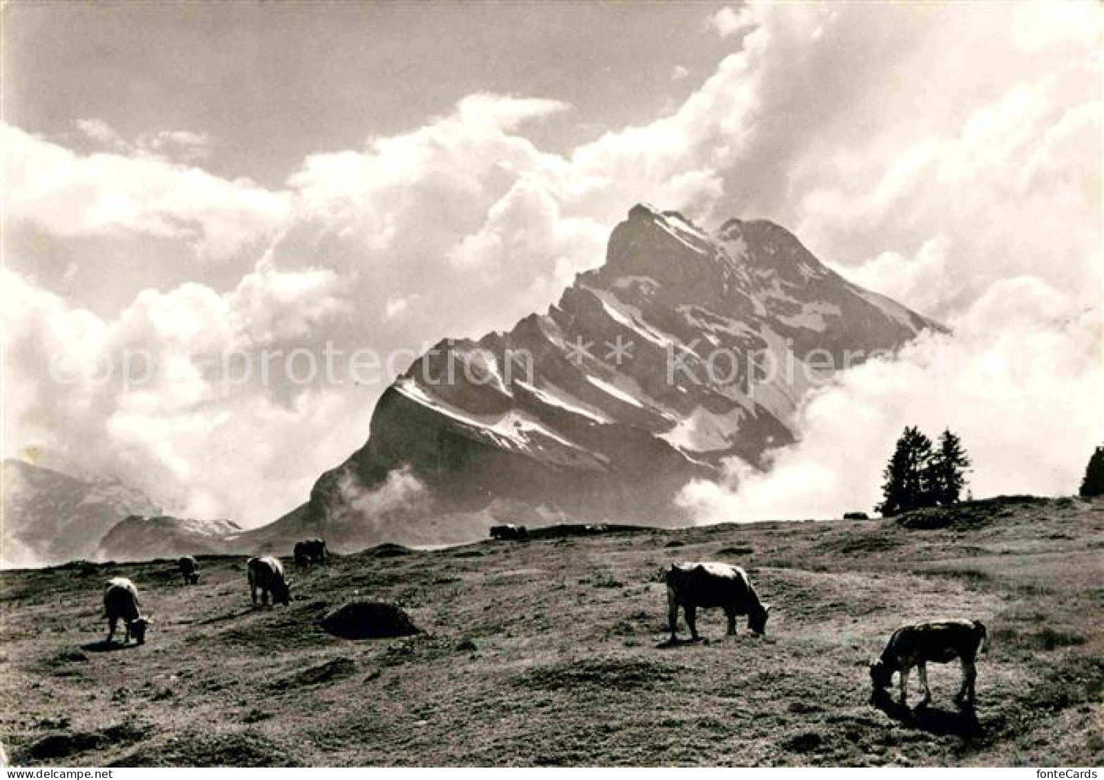 12770950 Braunwald GL Ortstock Braunwald - Autres & Non Classés