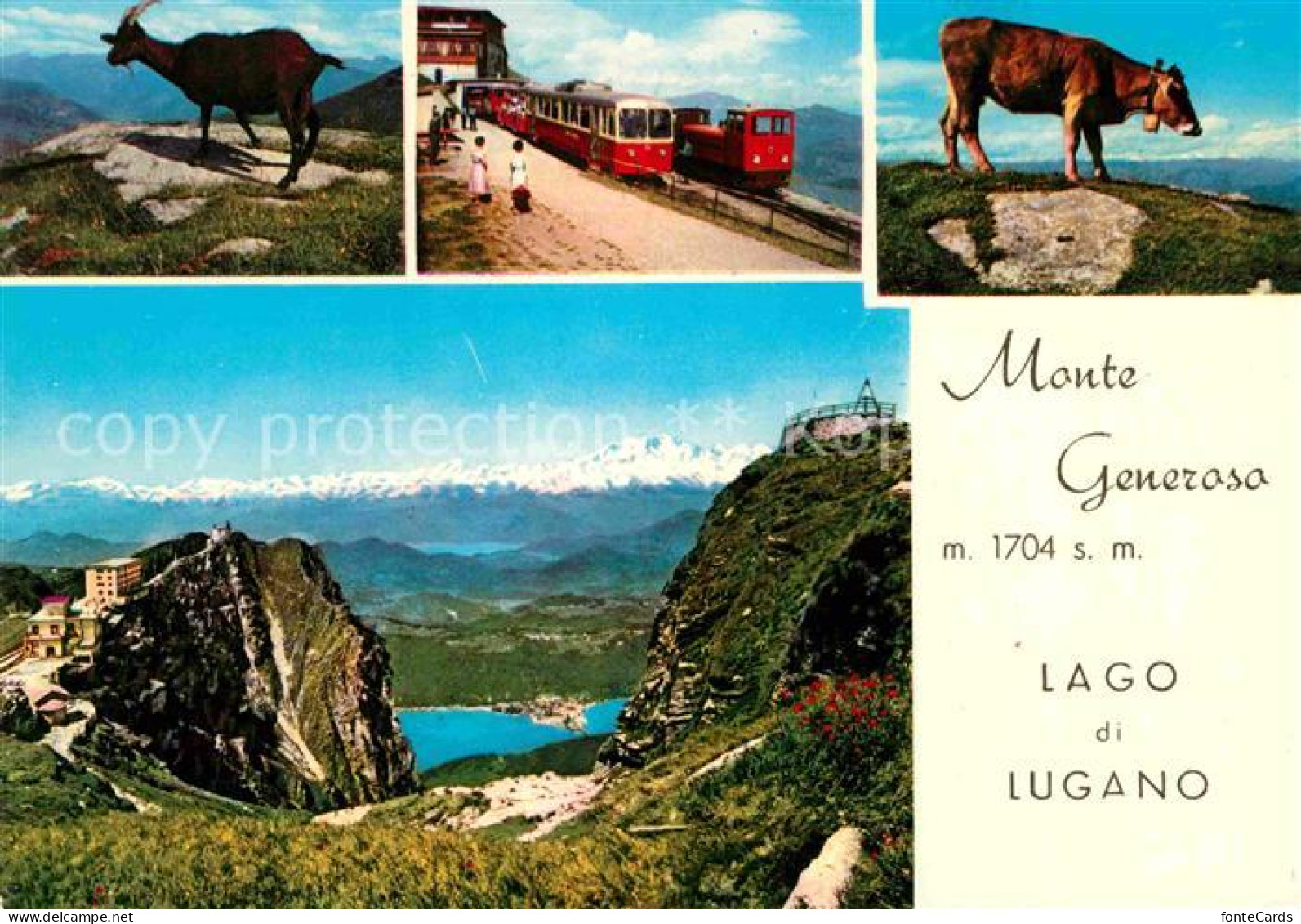 12769633 Monte Generoso Gemsen Bergbahn Alm Lago Di Lugano Monte Generoso - Sonstige & Ohne Zuordnung