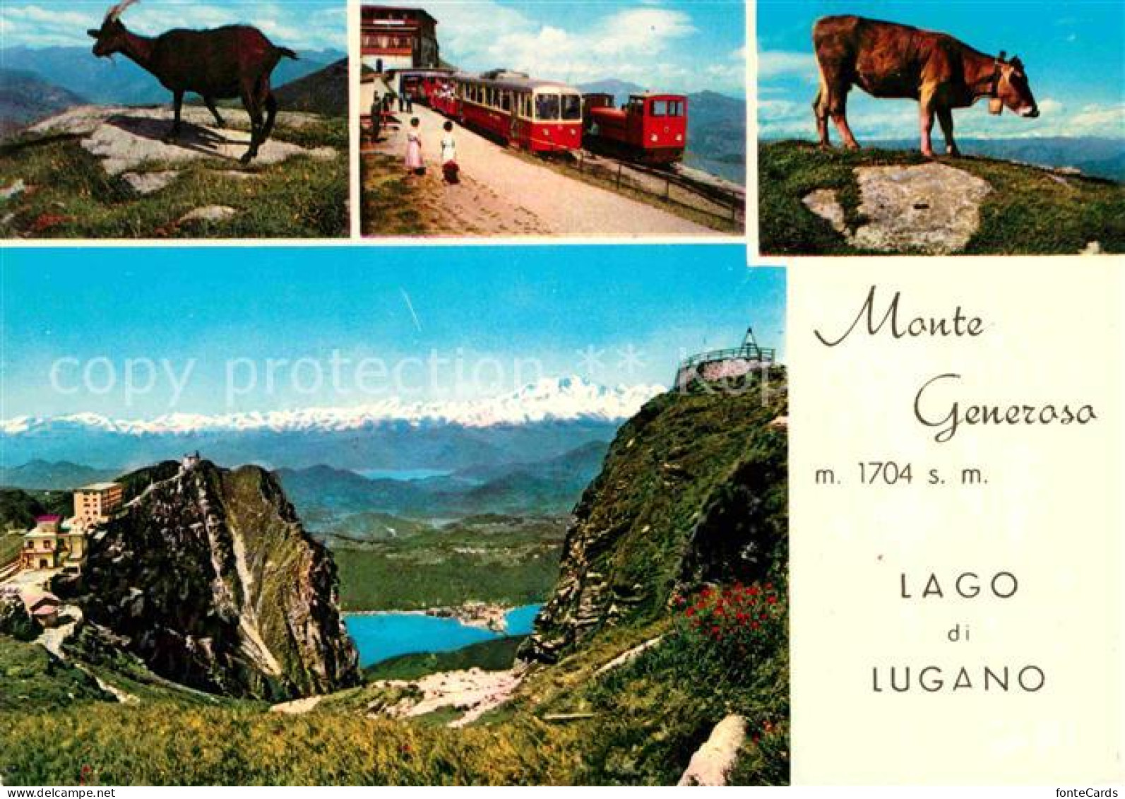 12769633 Monte Generoso Gemsen Bergbahn Alm Lago Di Lugano Monte Generoso - Otros & Sin Clasificación