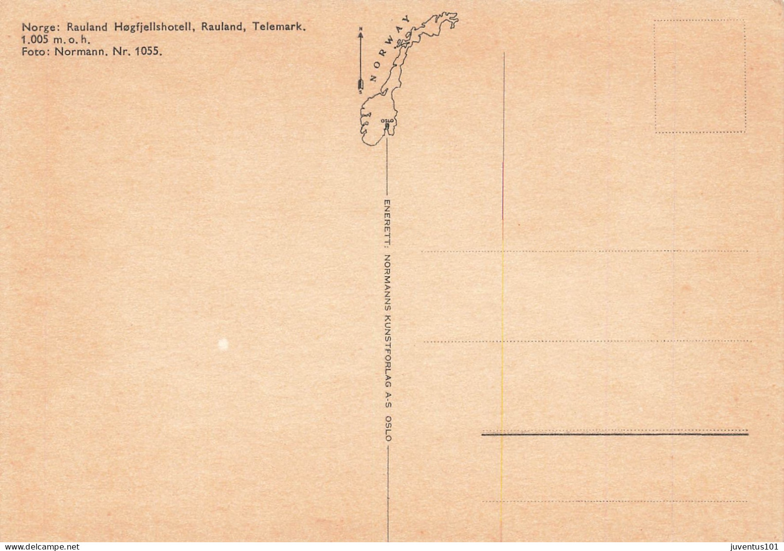 CPSM Norge-Rauland Høgfjellshotell     L2874 - Norvegia