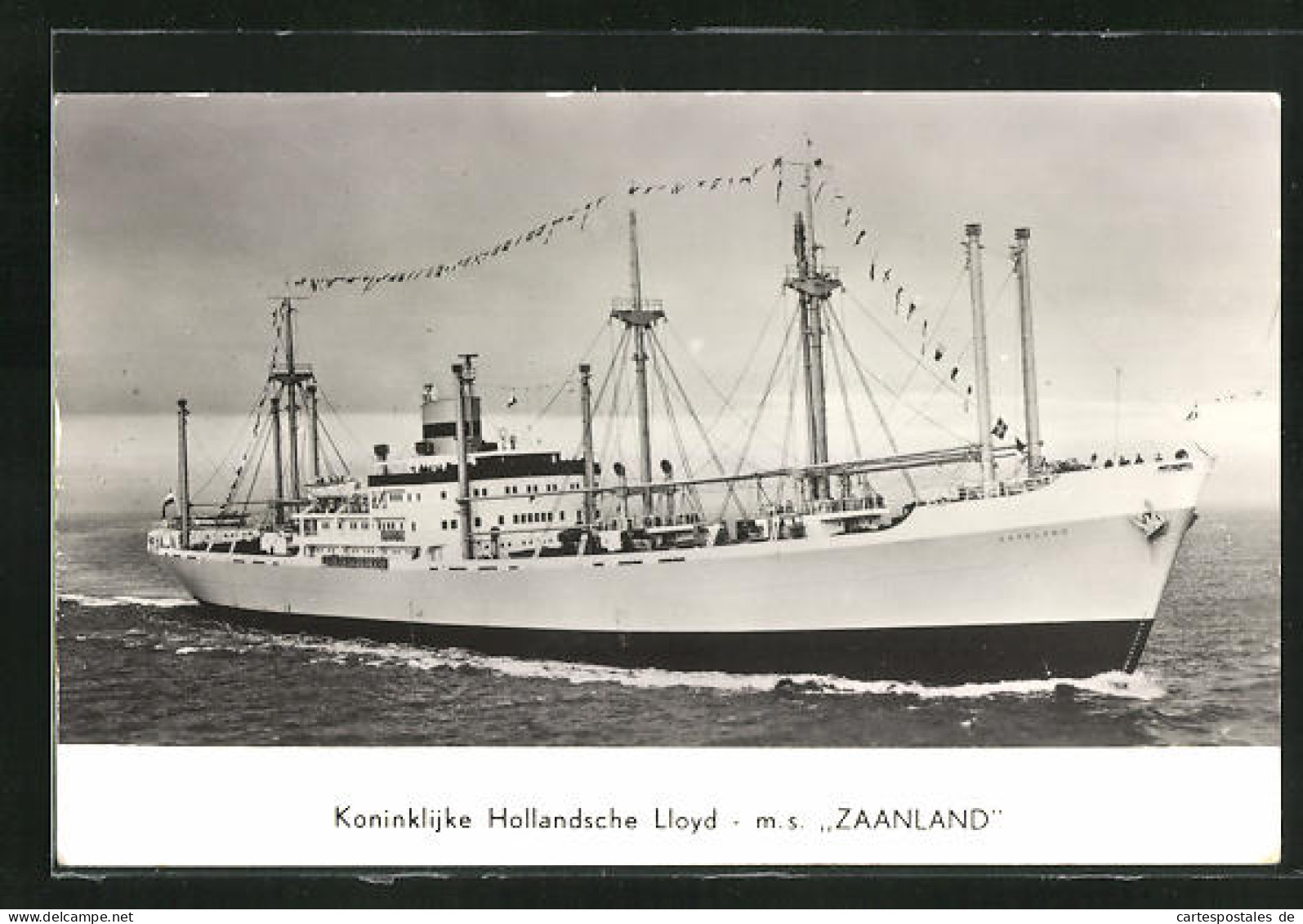 AK Handelsschiff MS Zaanland, Koninklijke Hollandsche Lloyd  - Comercio