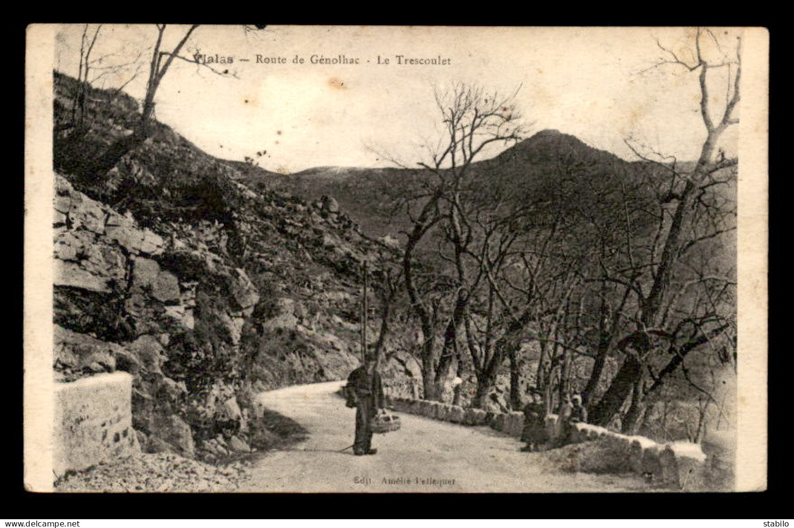 48 - VIALAS - ROUTE DE GENOLHAC - LE TRESCOULET - Autres & Non Classés