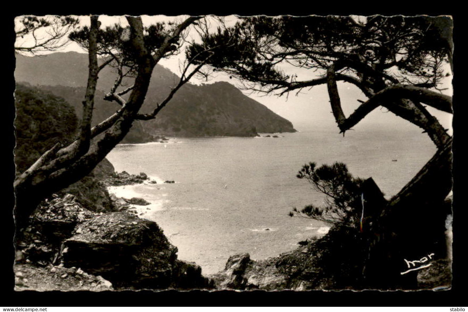 83 - SIX-FOURS-LES-PLAGES - LE BRUSC - FALAISES DU MONT-SALVAT - Six-Fours-les-Plages