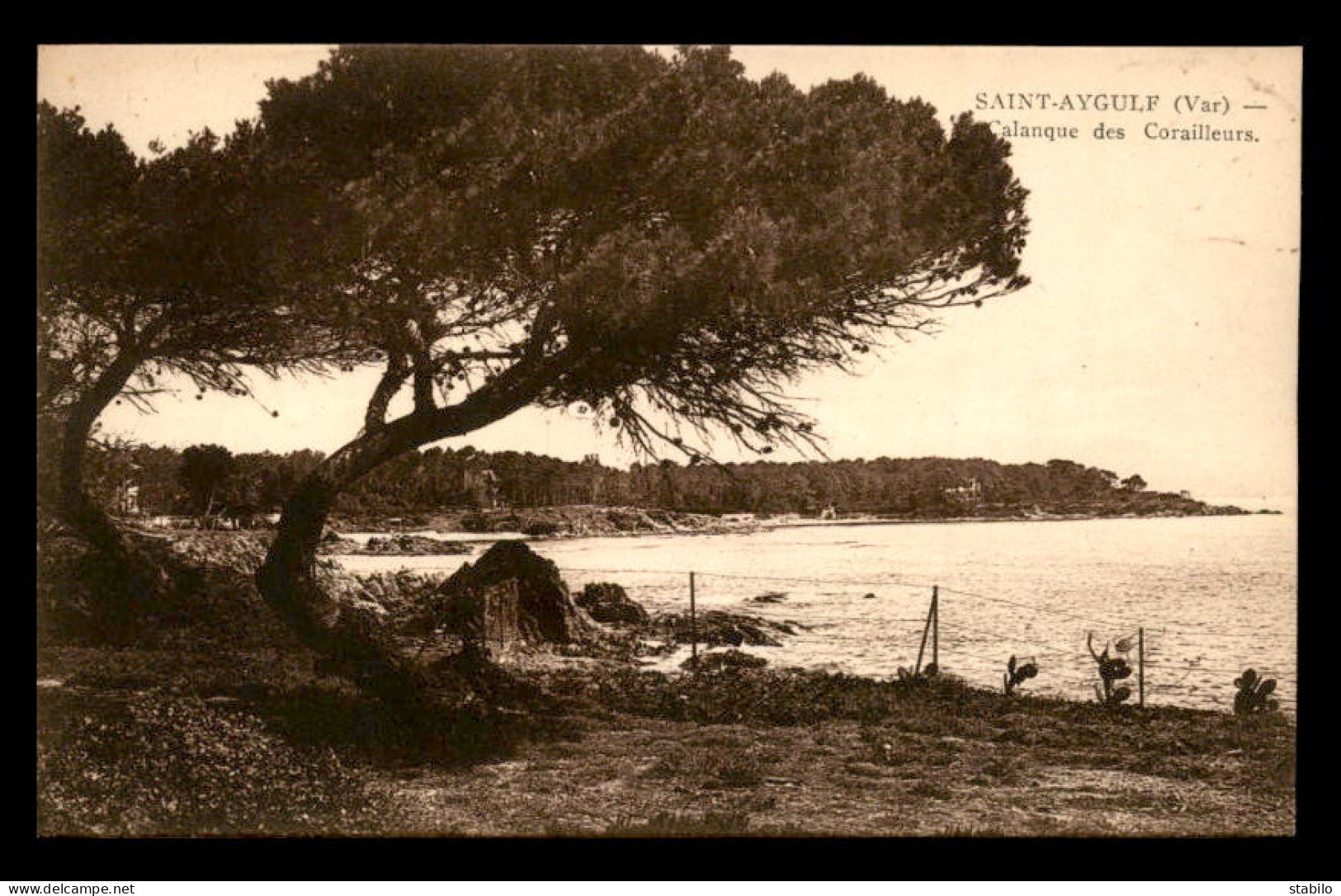 83 - ST-AYGULF - CALANQUE DES CORAILLEURS - Autres & Non Classés